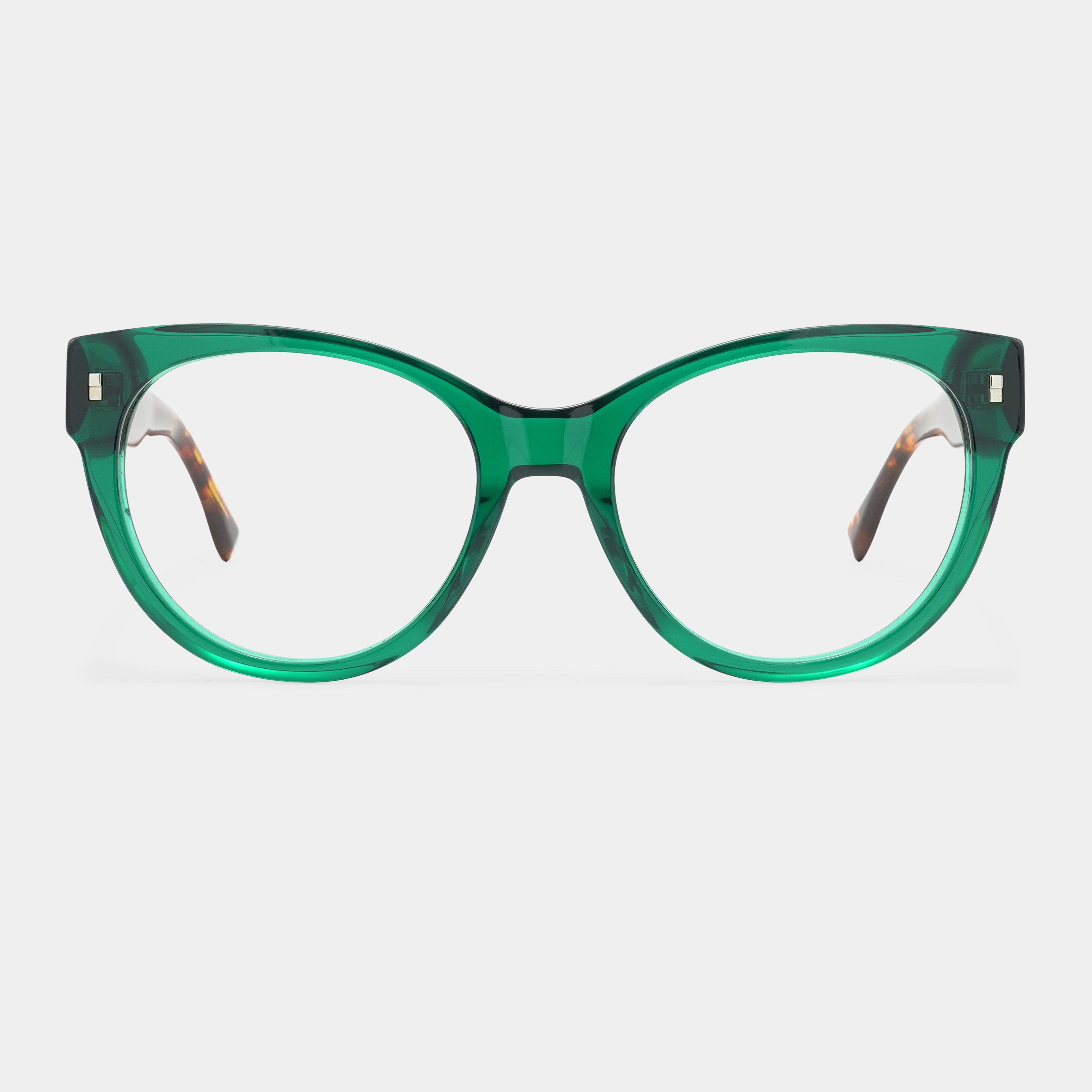 tortoiseshell spectacles