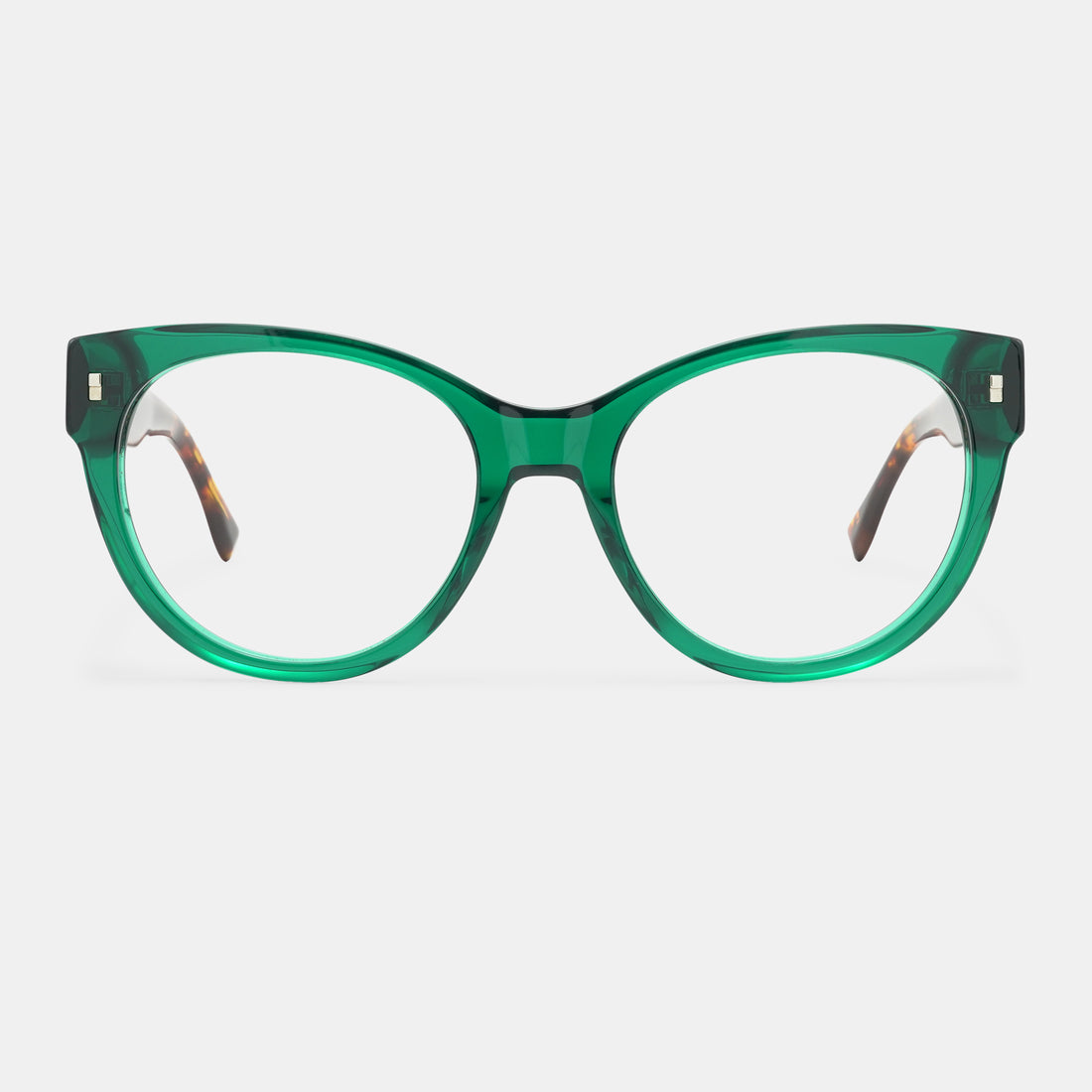 tortoiseshell spectacles