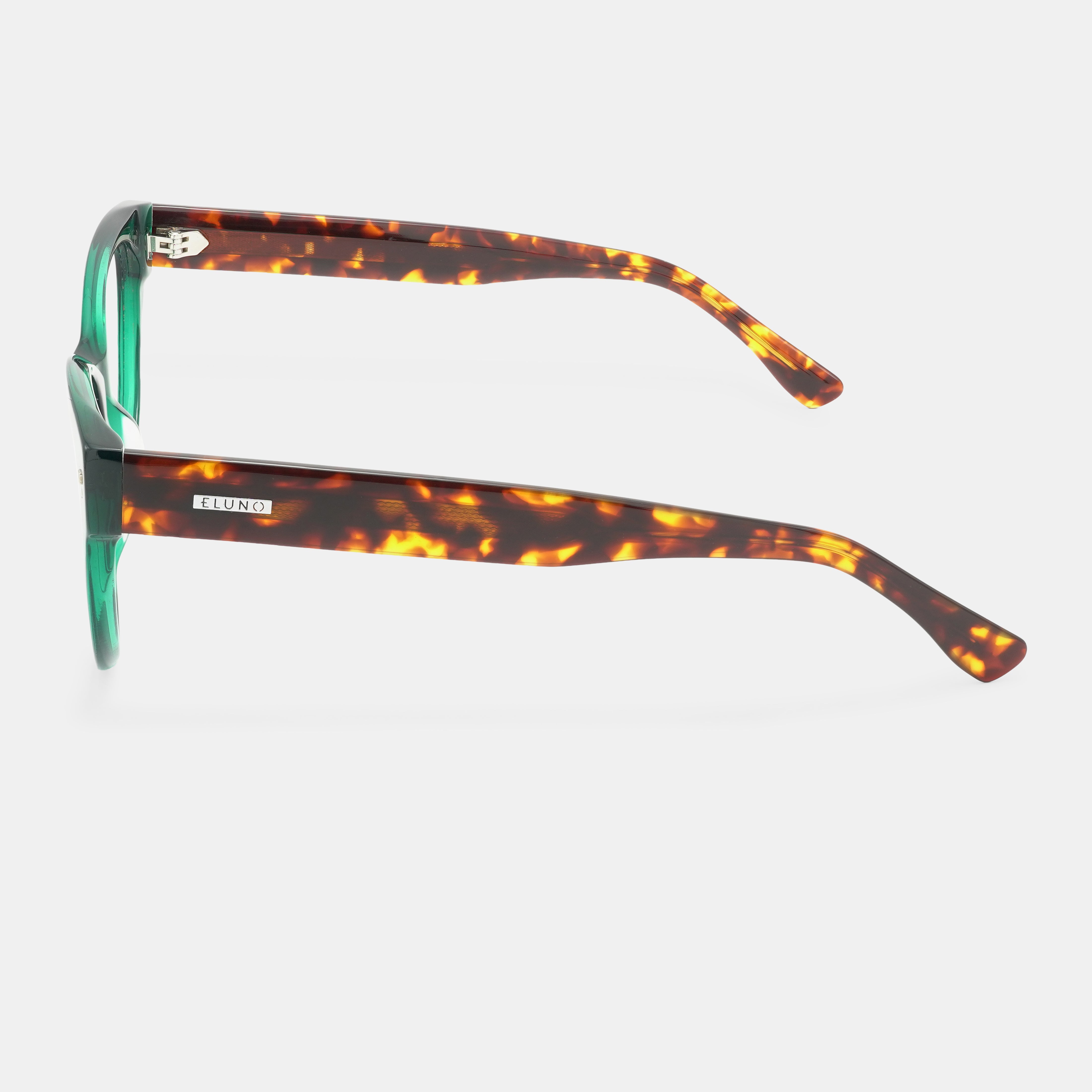 tortoiseshell spectacles