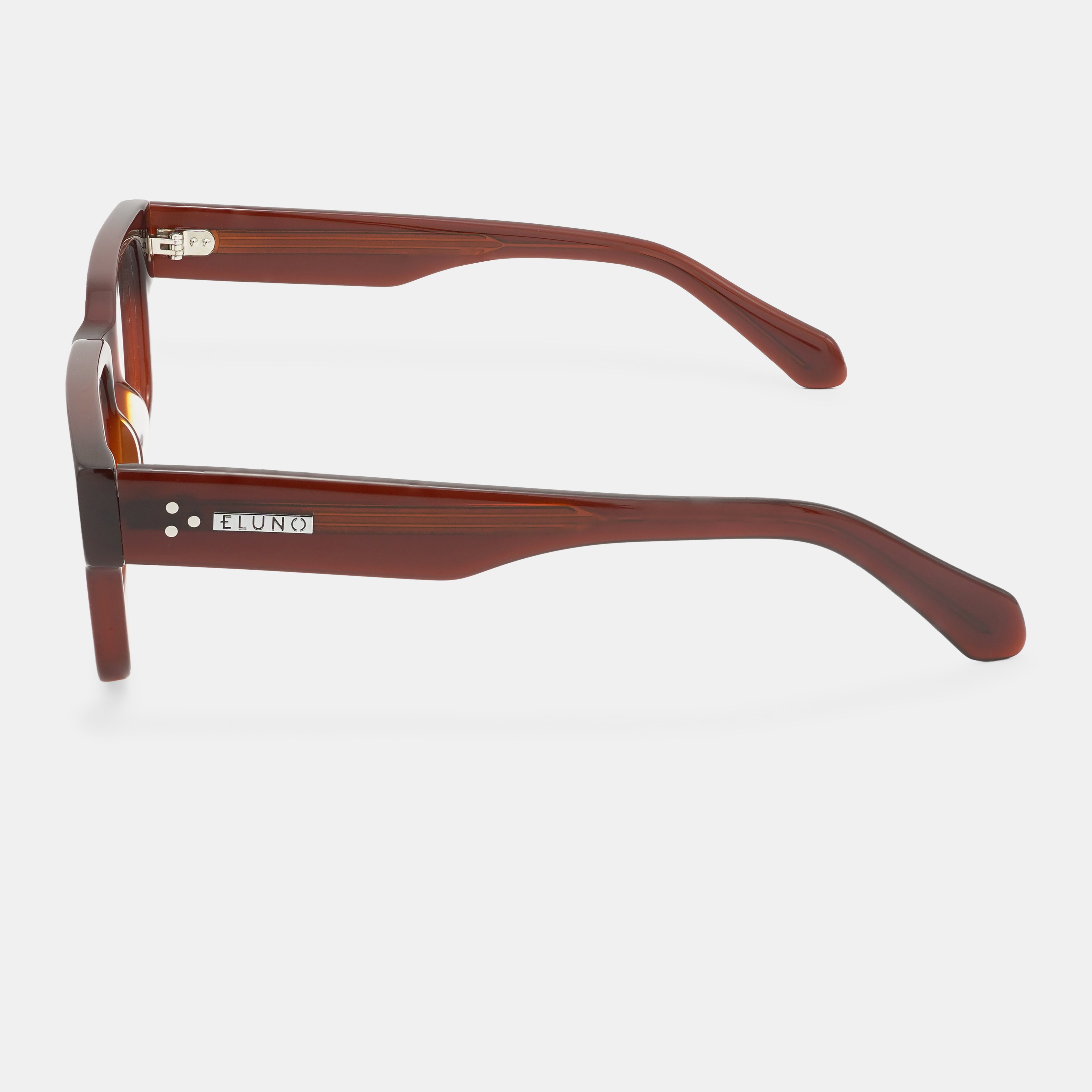 Brown Eyeglasses