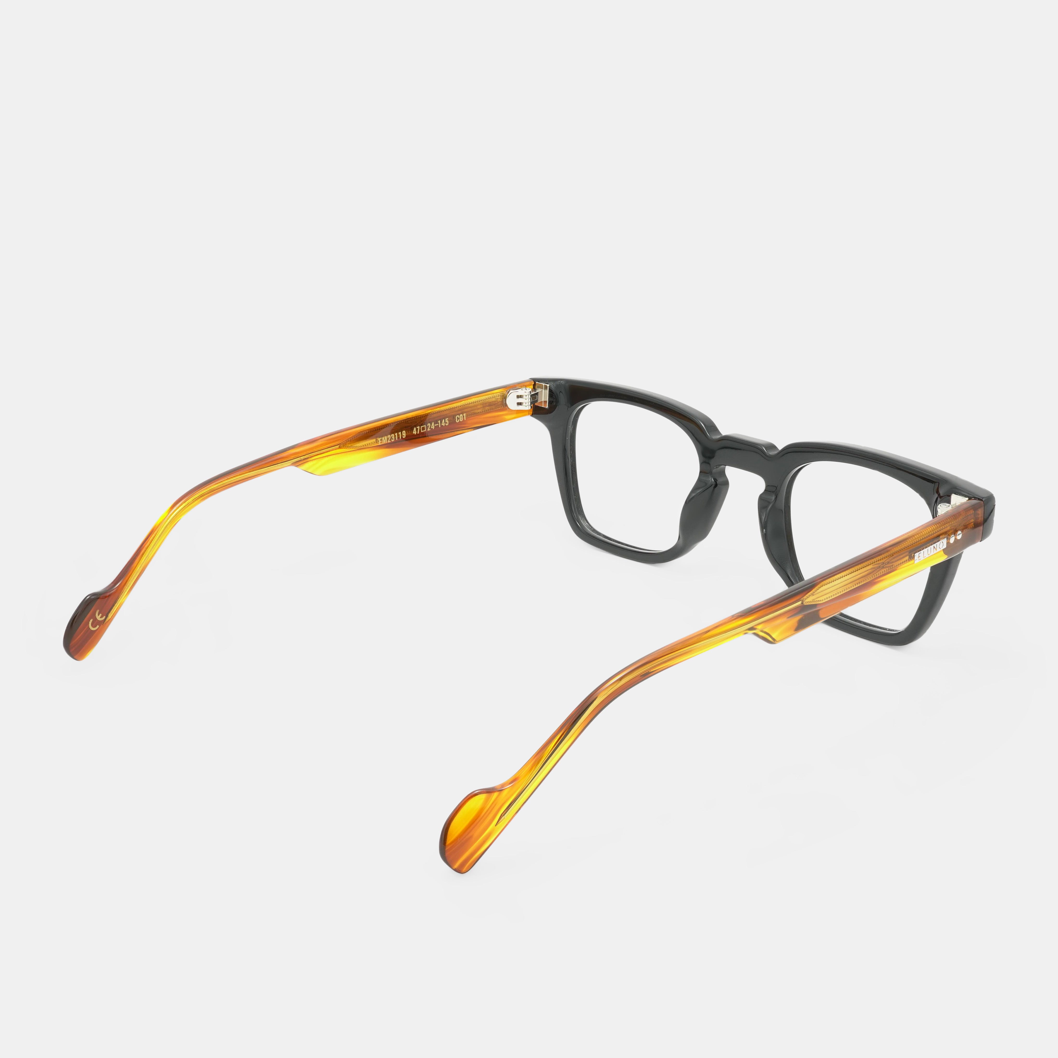 Stylish Spectacles