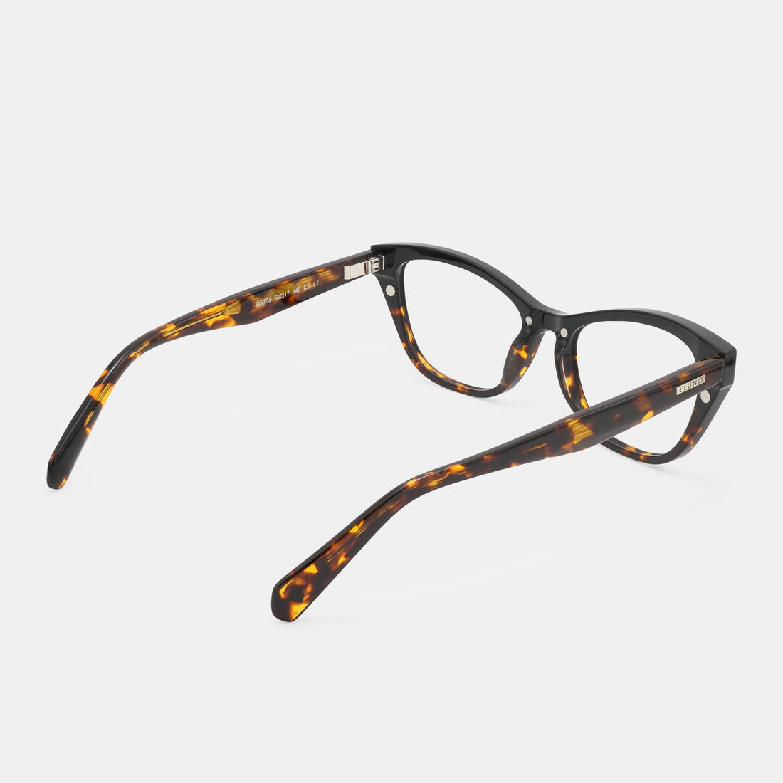 Palmae Wide