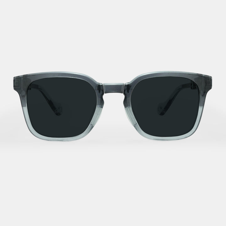 Rocco 10 to 12 Years