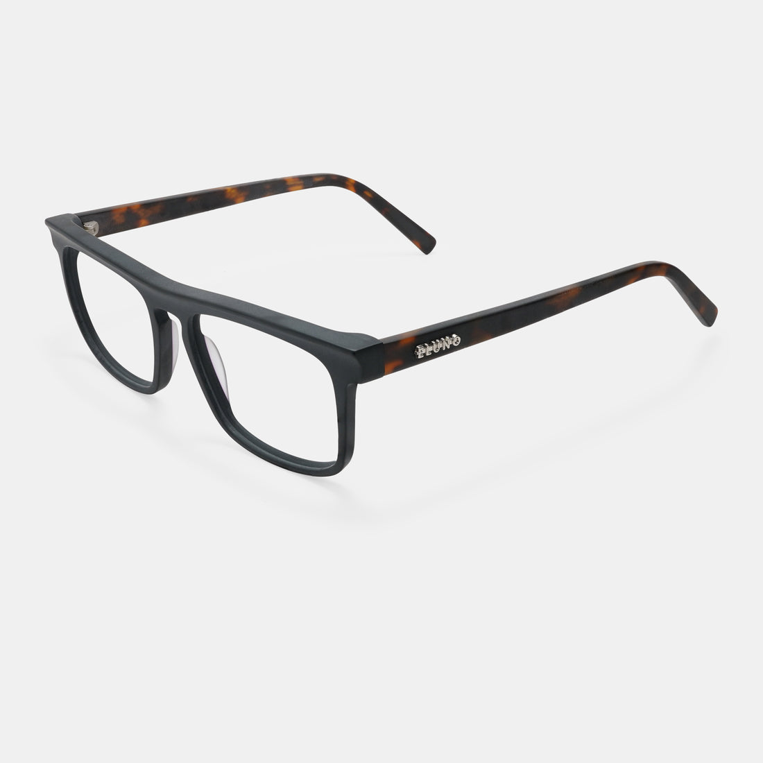 Tortoiseshell Eyeglasses