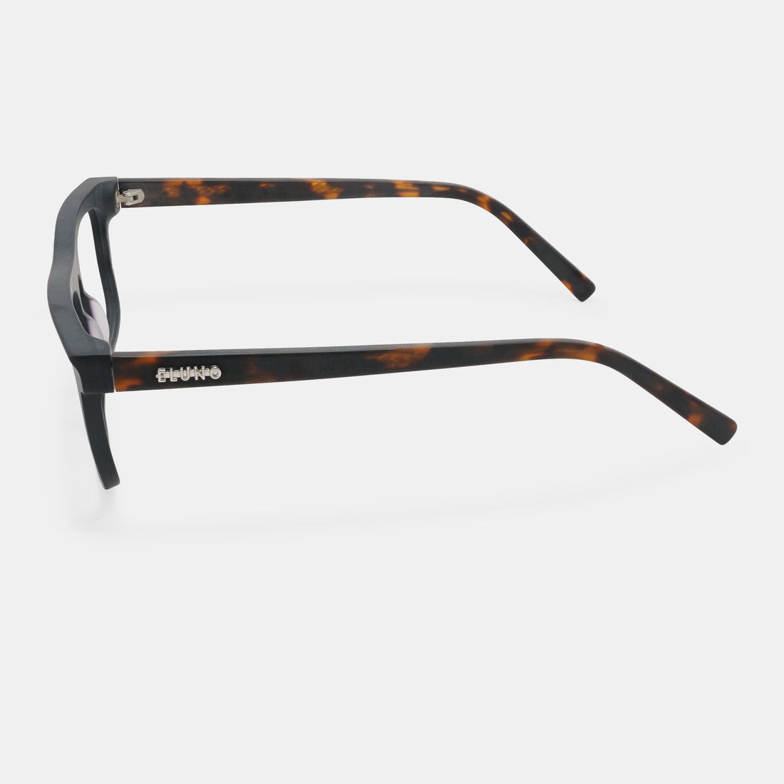 Tortoiseshell Eyeglasses