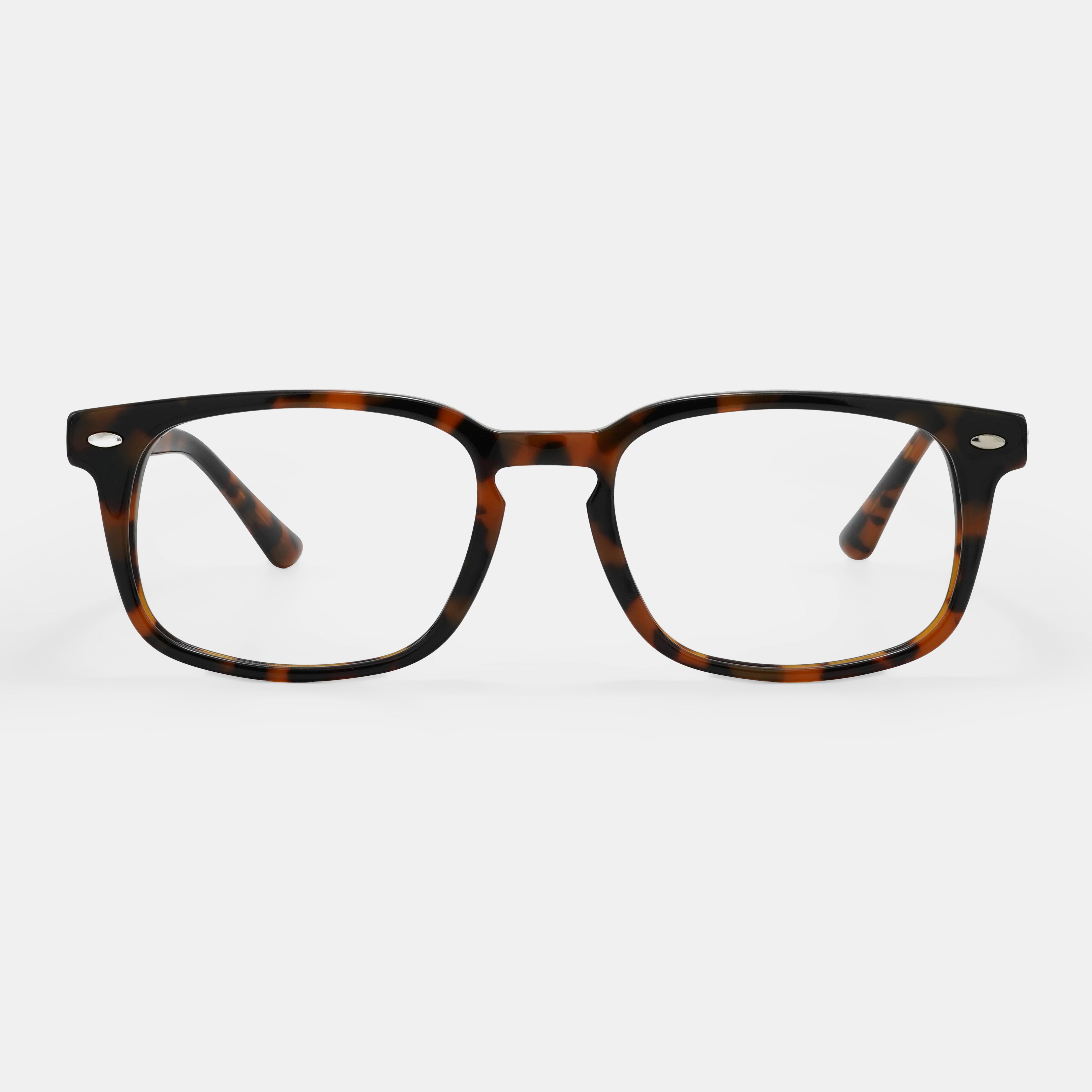 Tortoiseshell frames