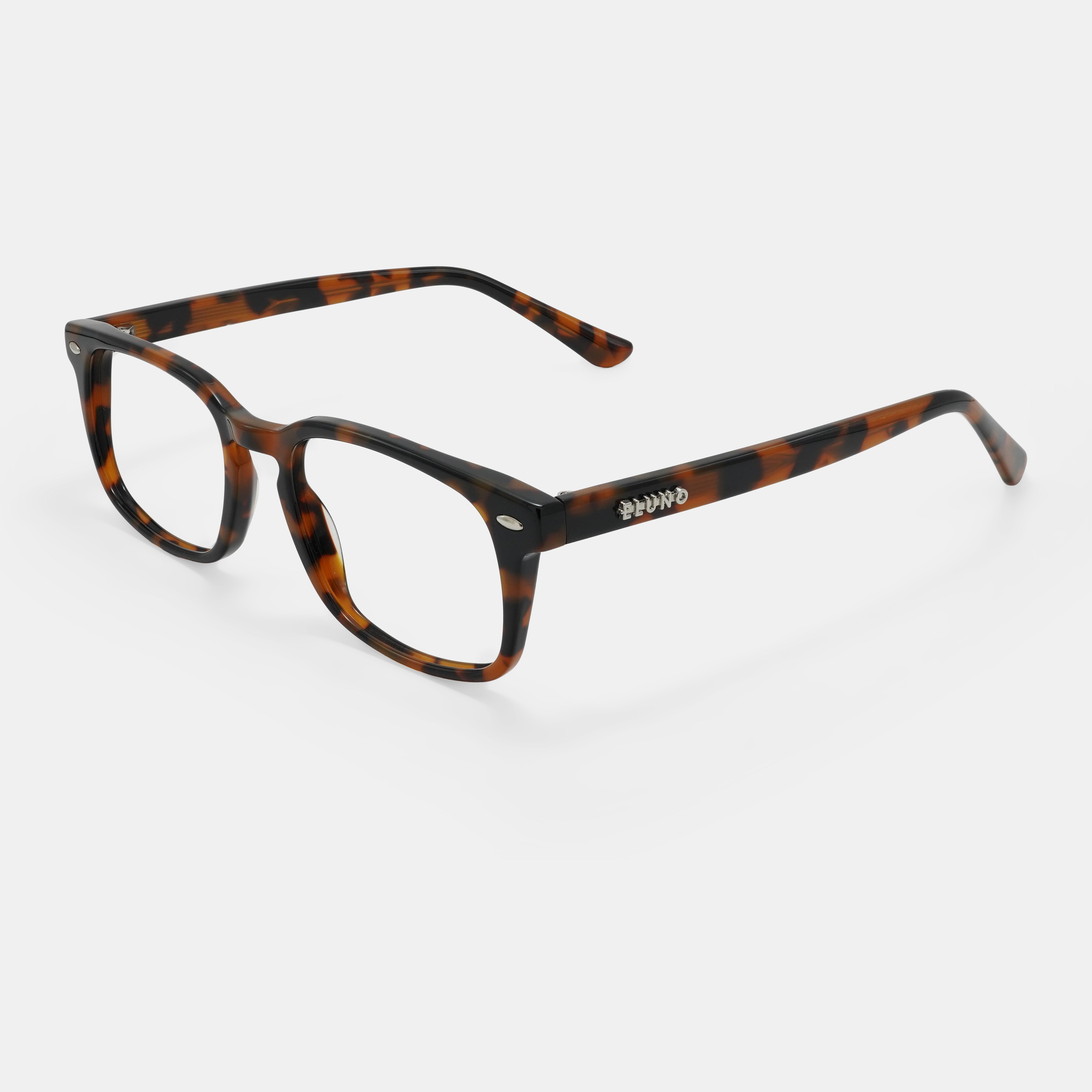 Tortoiseshell frames