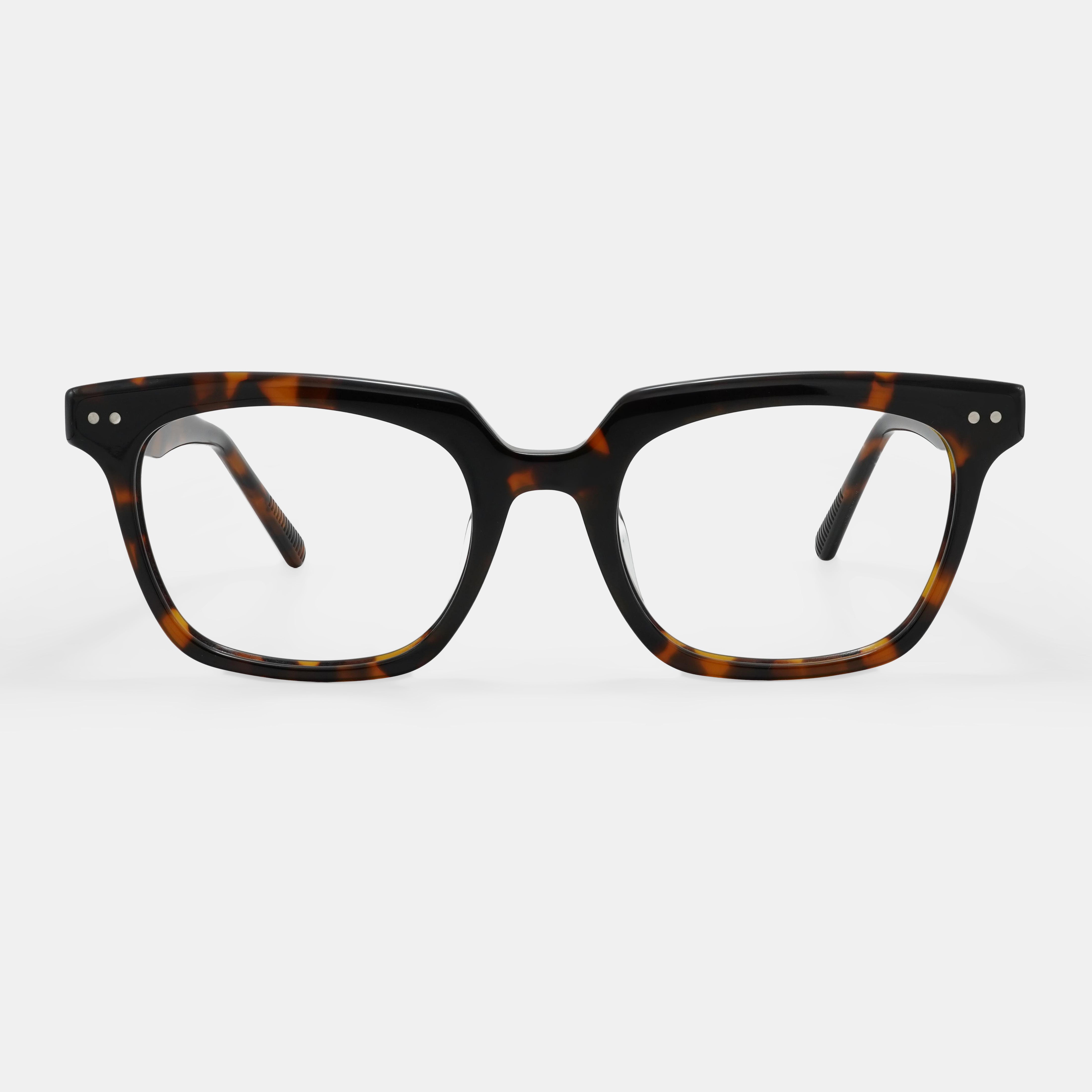 Tortoiseshell Eyeglasses
