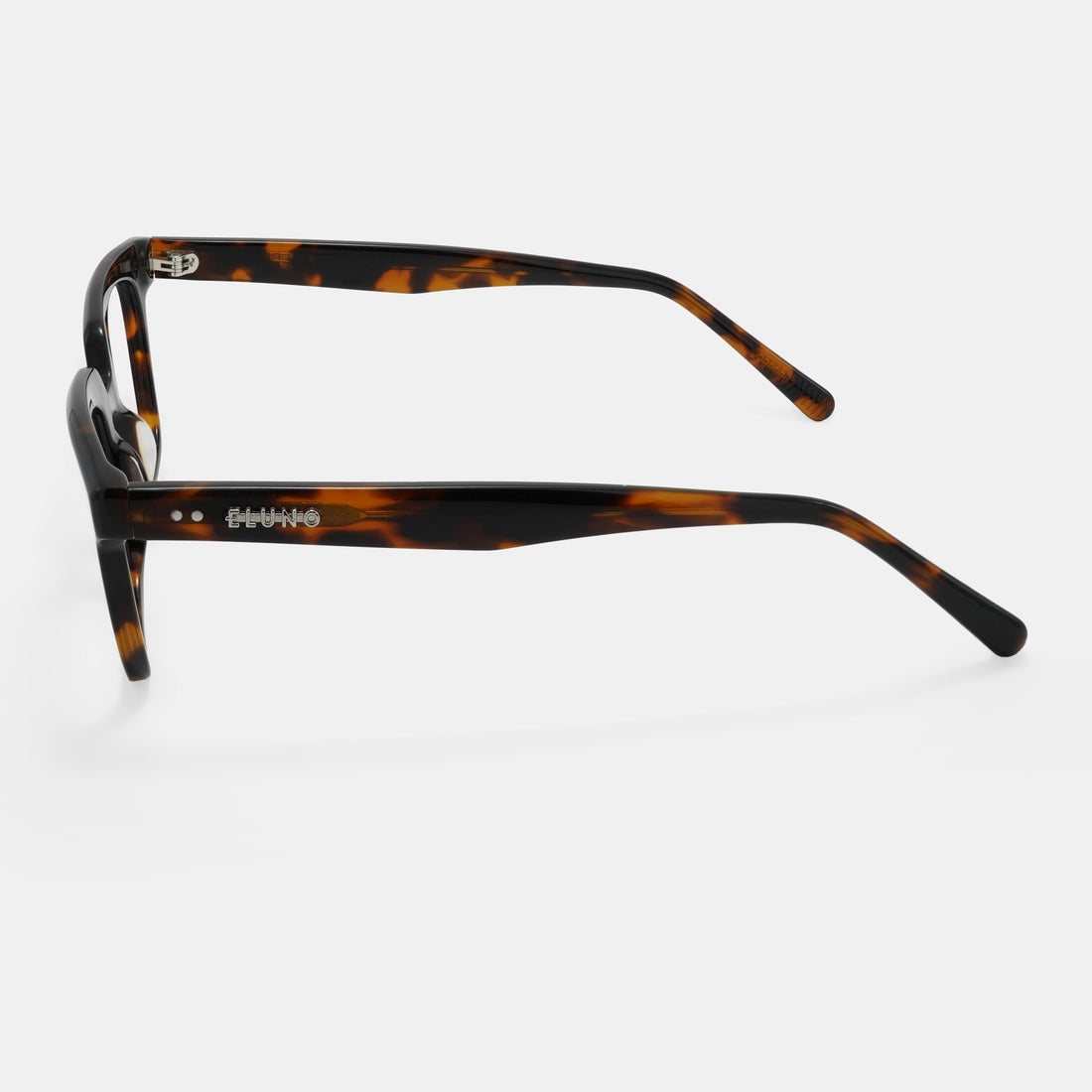 Tortoiseshell Eyeglasses