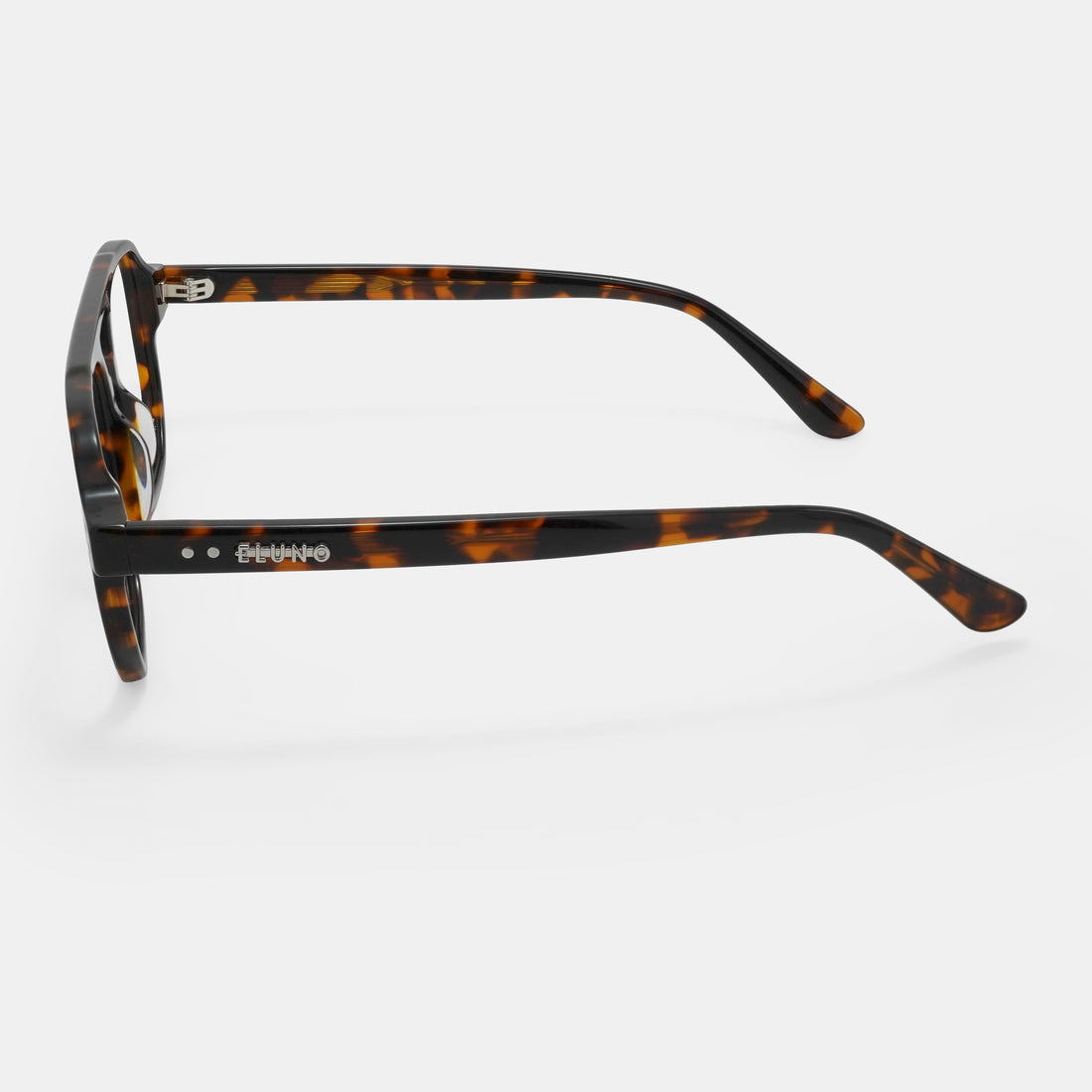 Tortoiseshell Frames