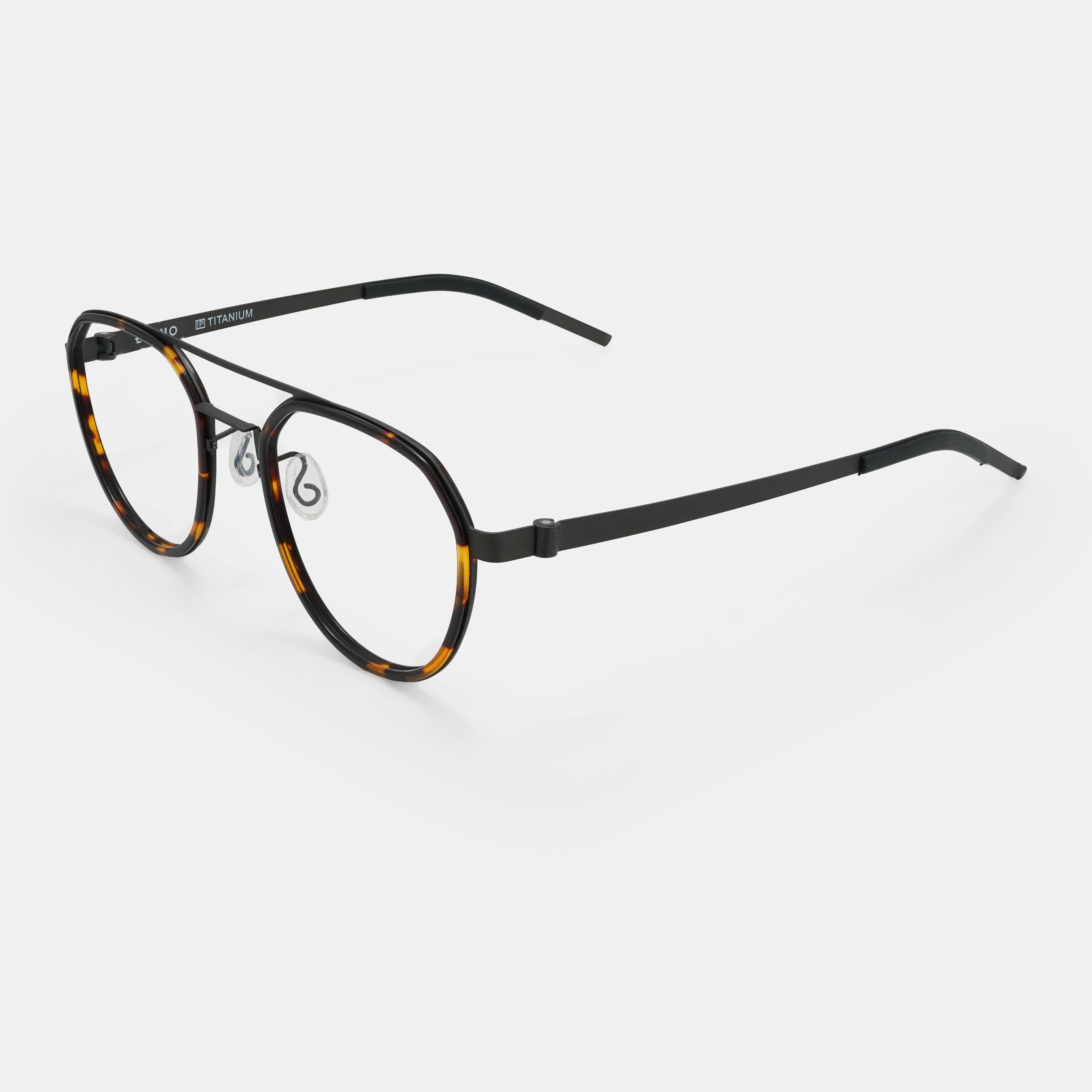 Tortoiseshell Eyeglasses