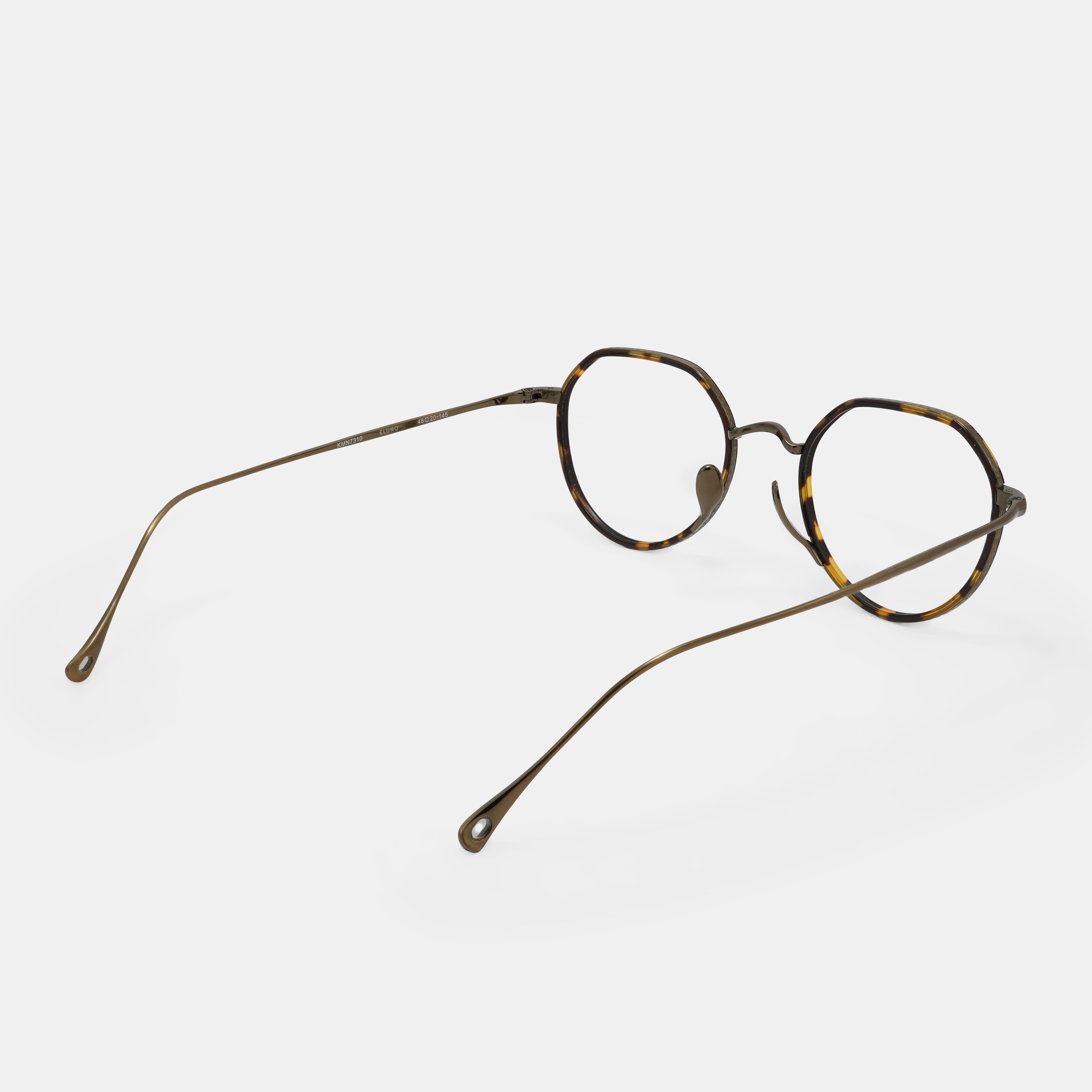 tortoiseshell eyeglasses