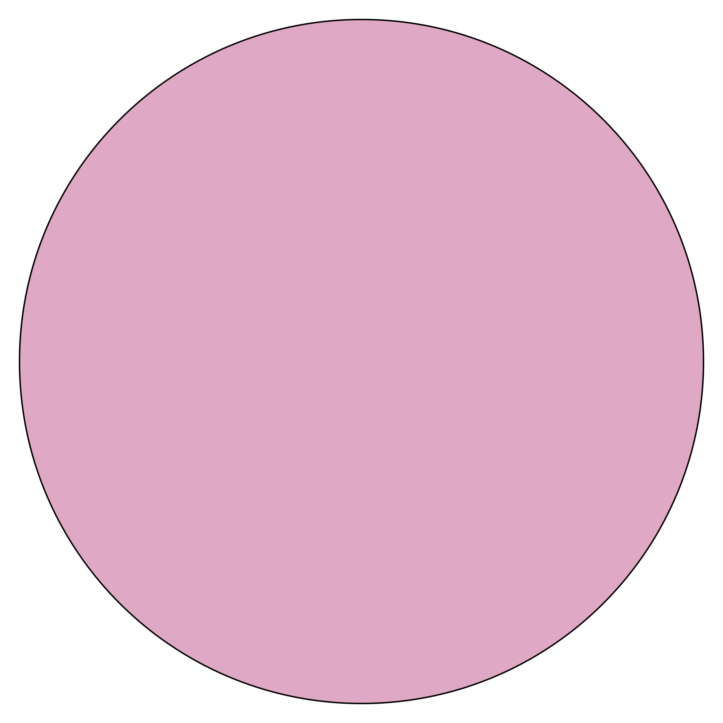 Fashion Pink