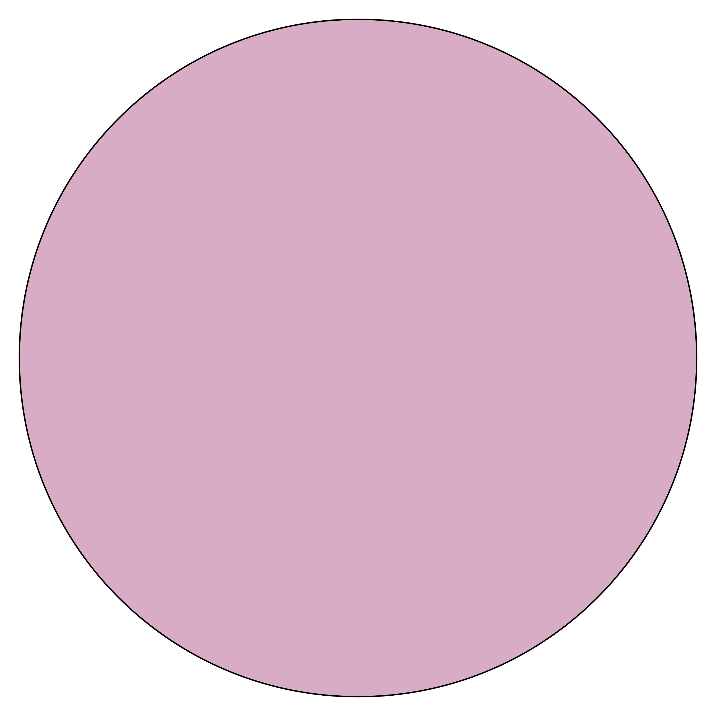 Fashion Pink