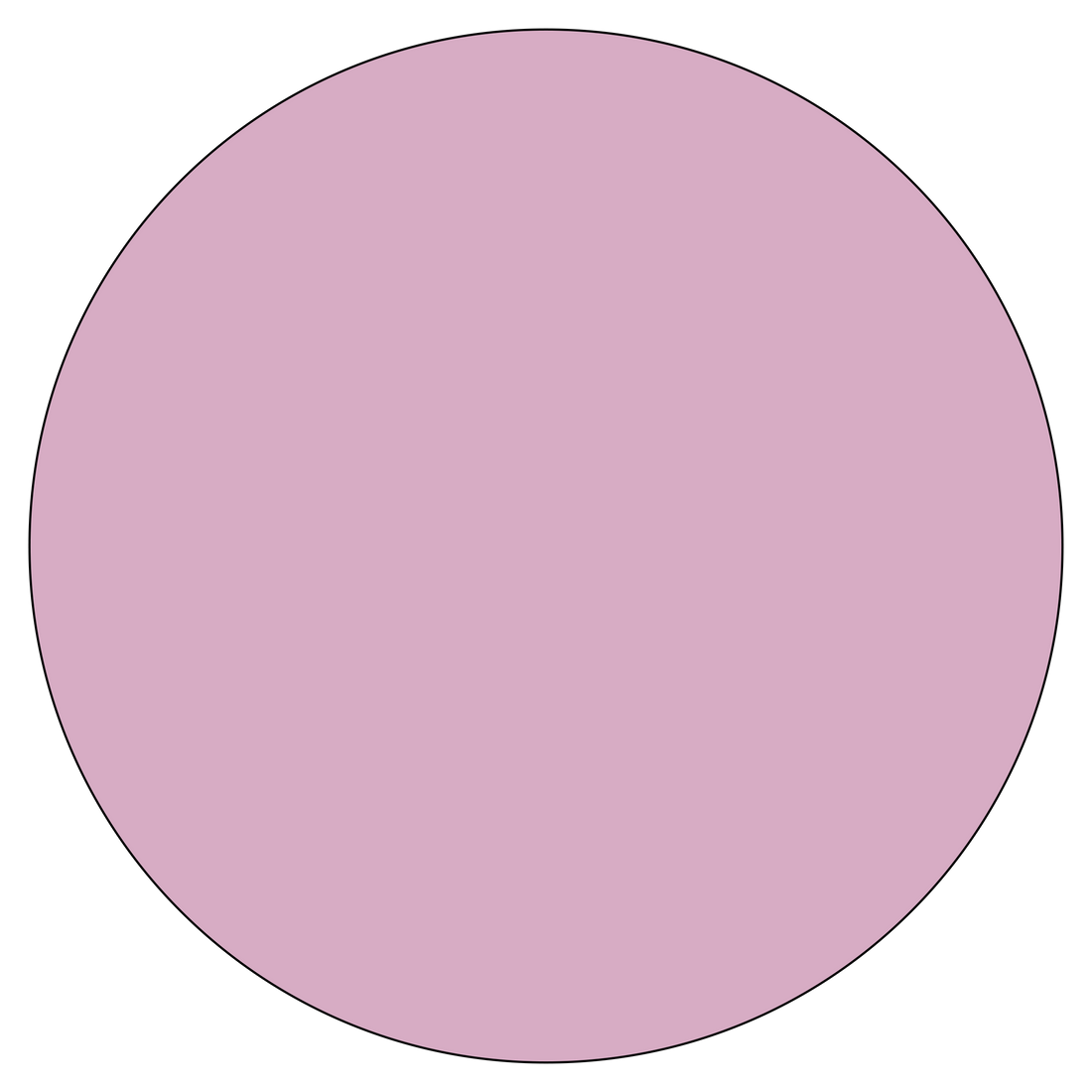 Fashion Pink