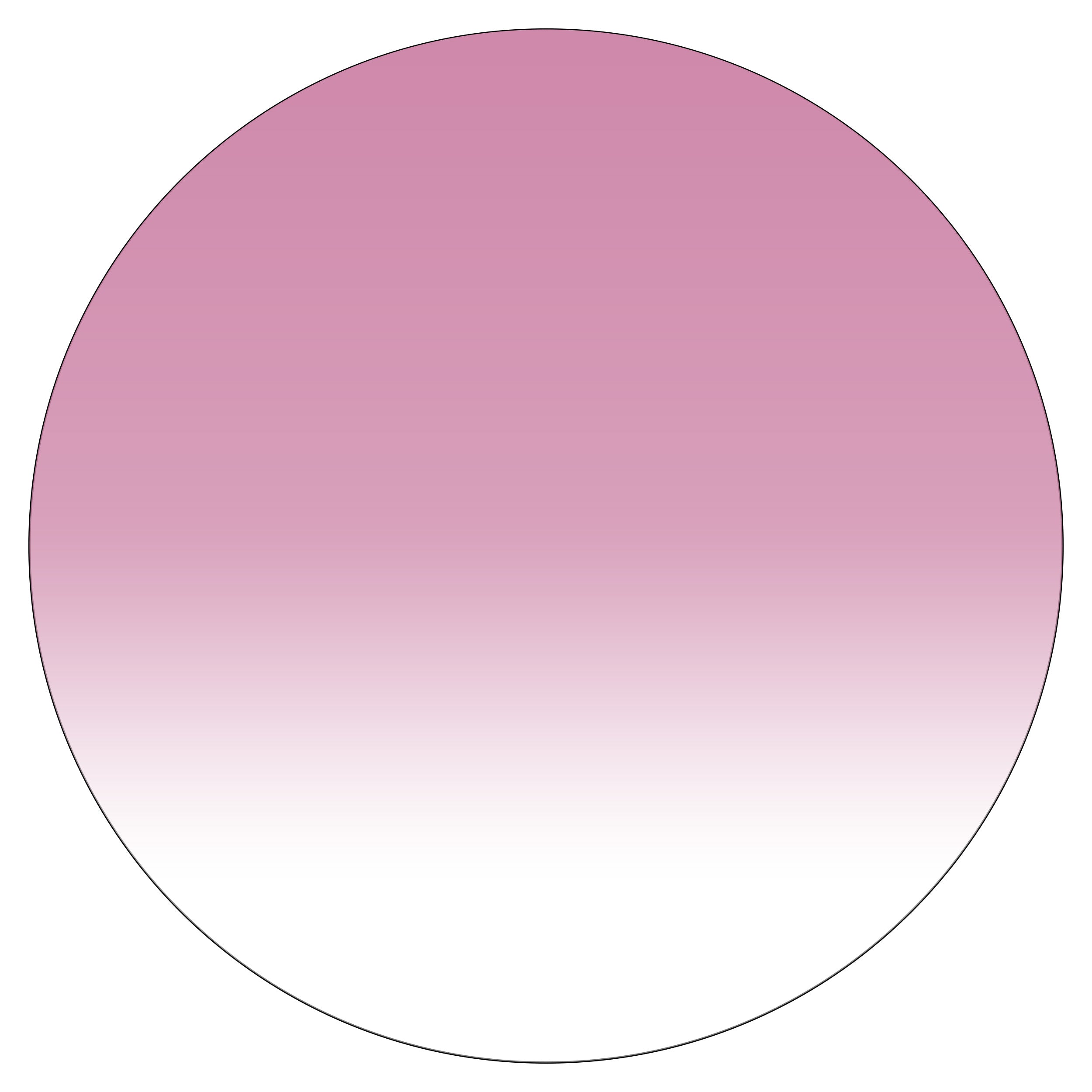 Fashion Pink