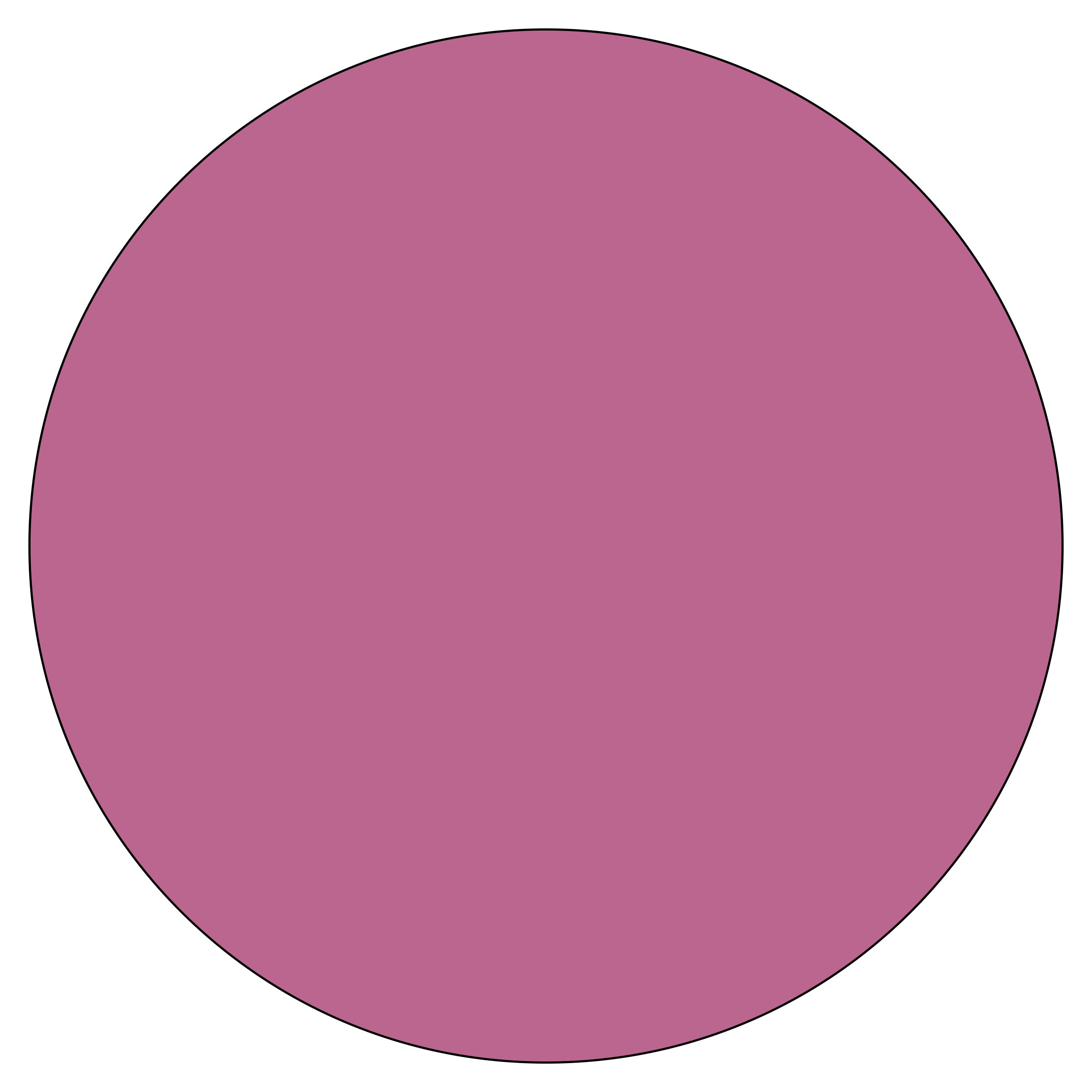 Fashion Pink