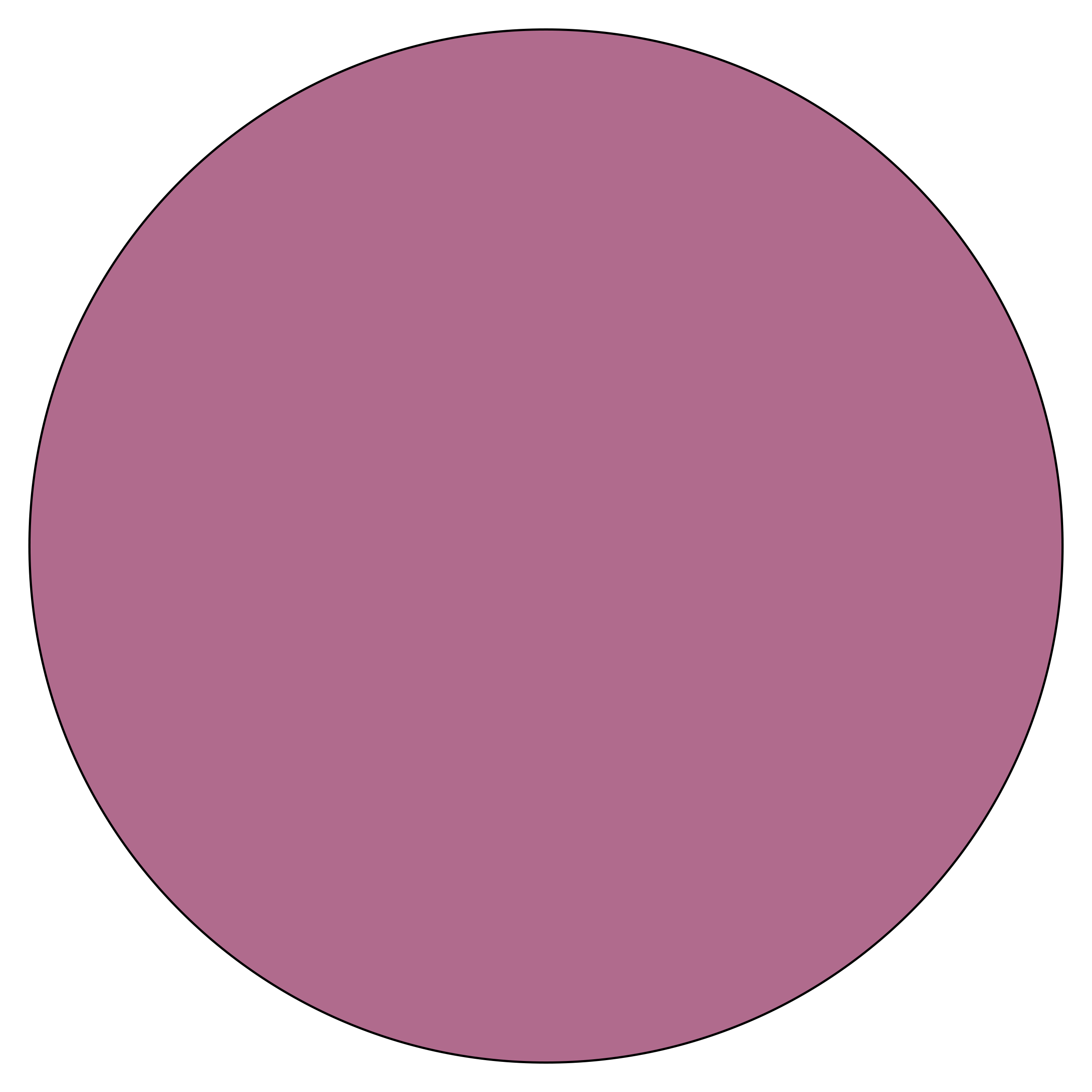 Fashion Pink