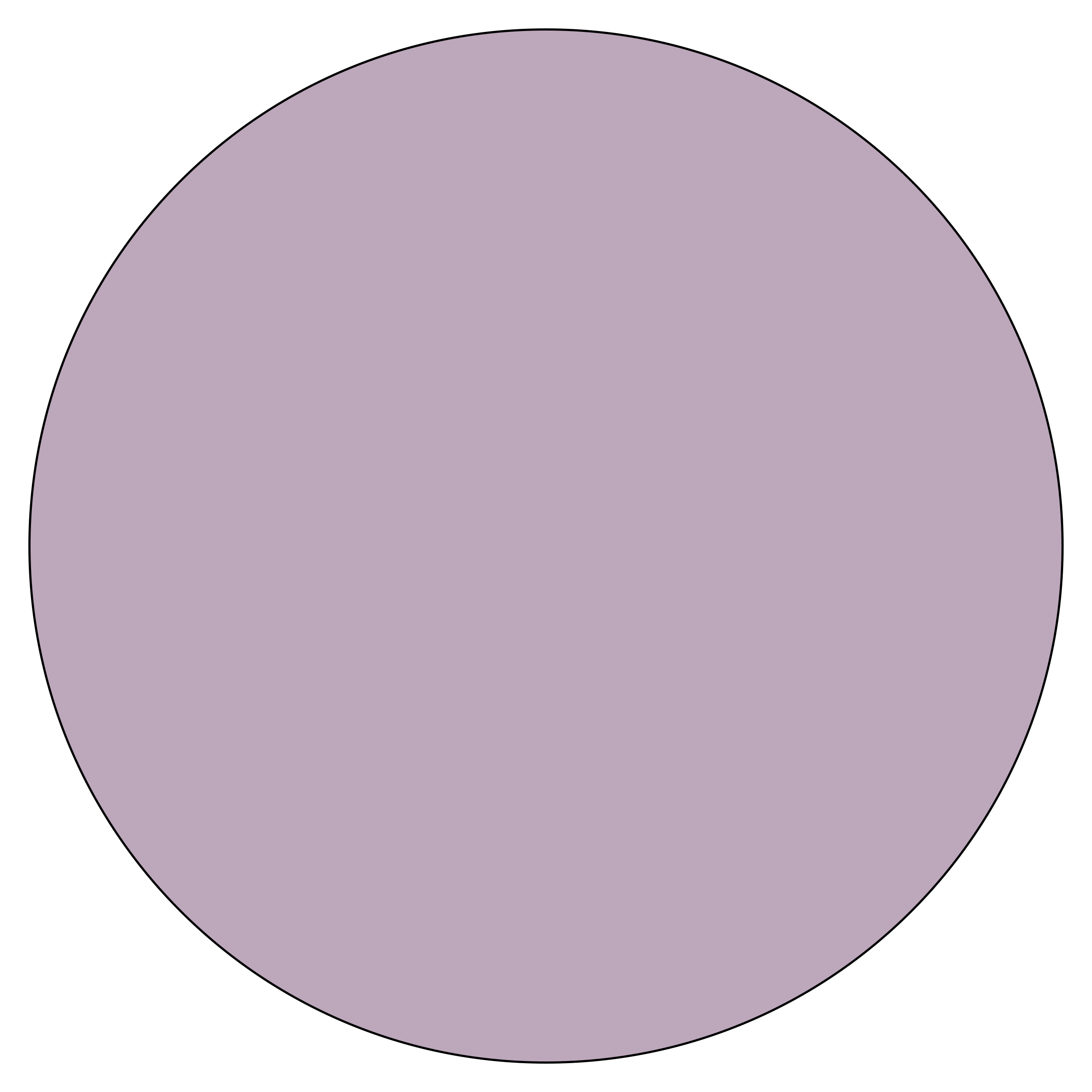 Rose/Lilac