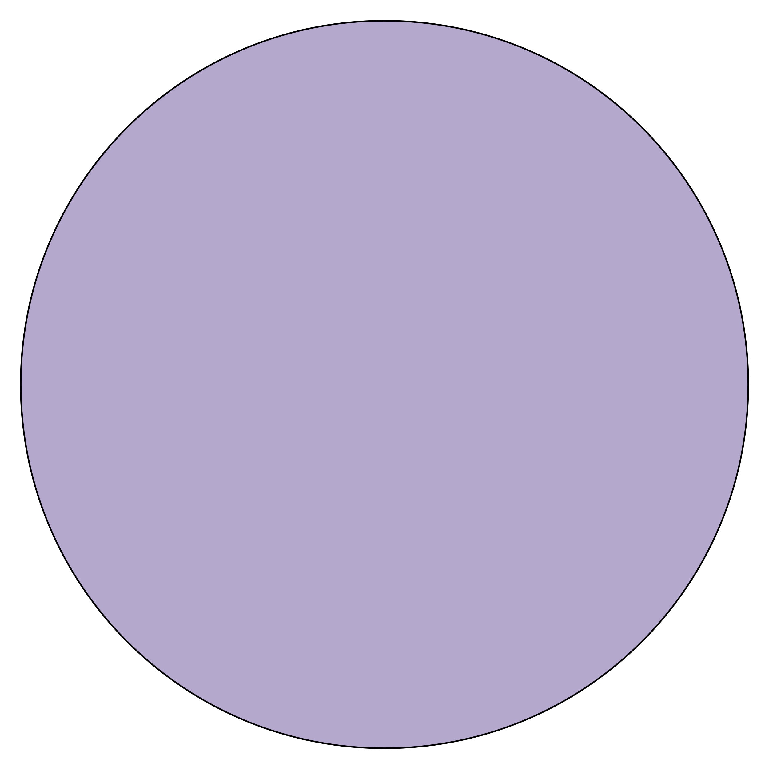 Bold Purple