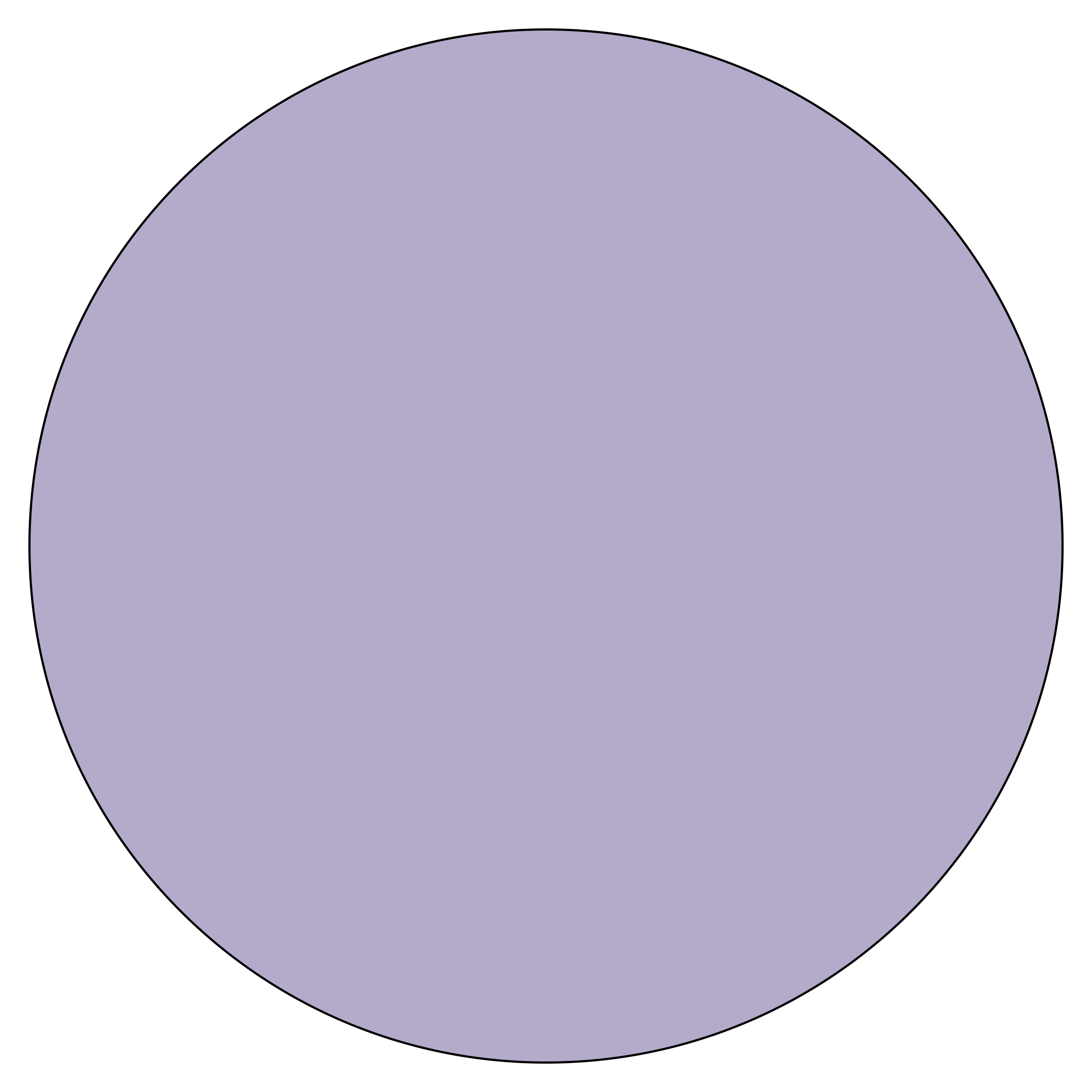 Bold Purple