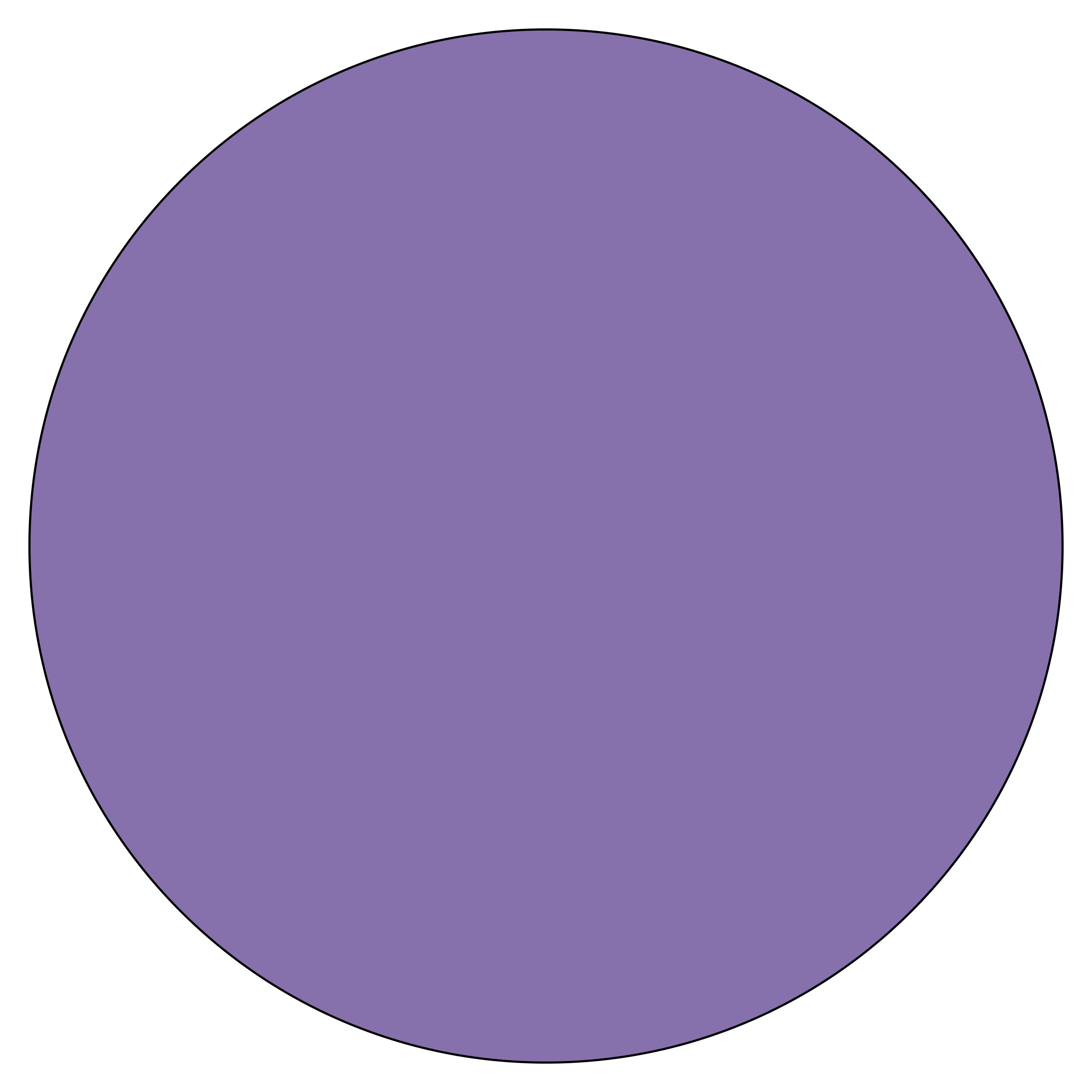 Bold Purple