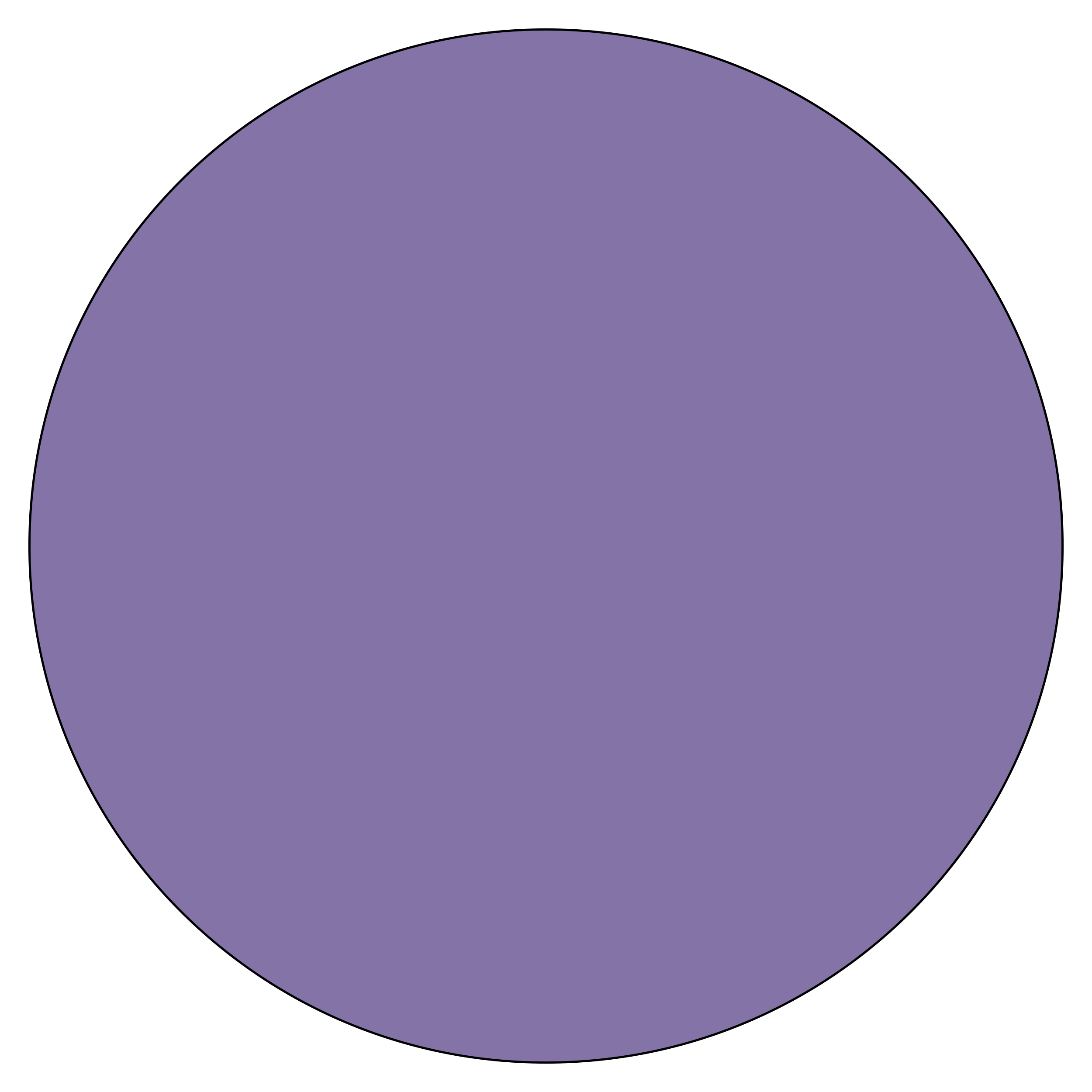 Bold Purple