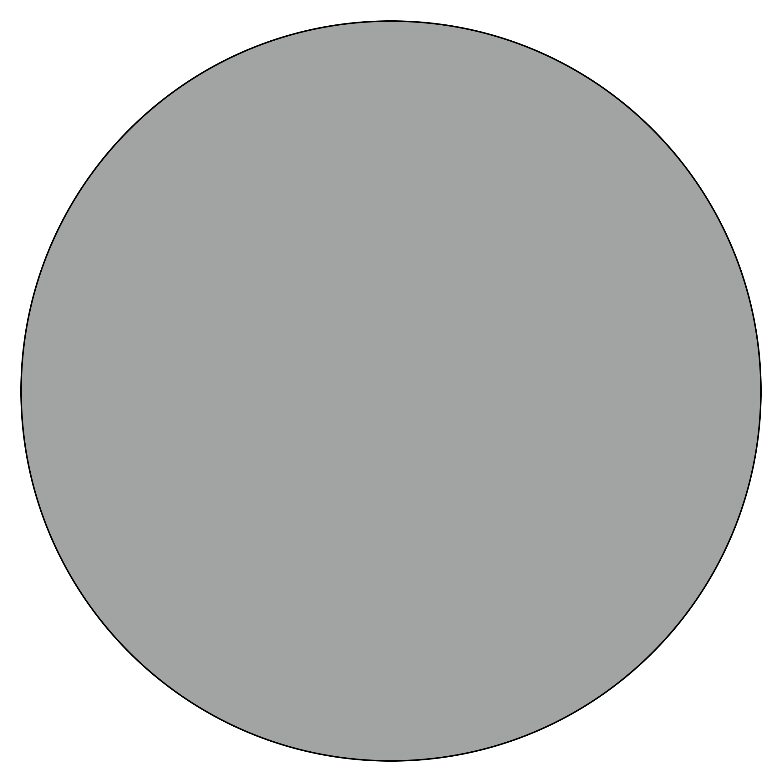 Classic Grey
