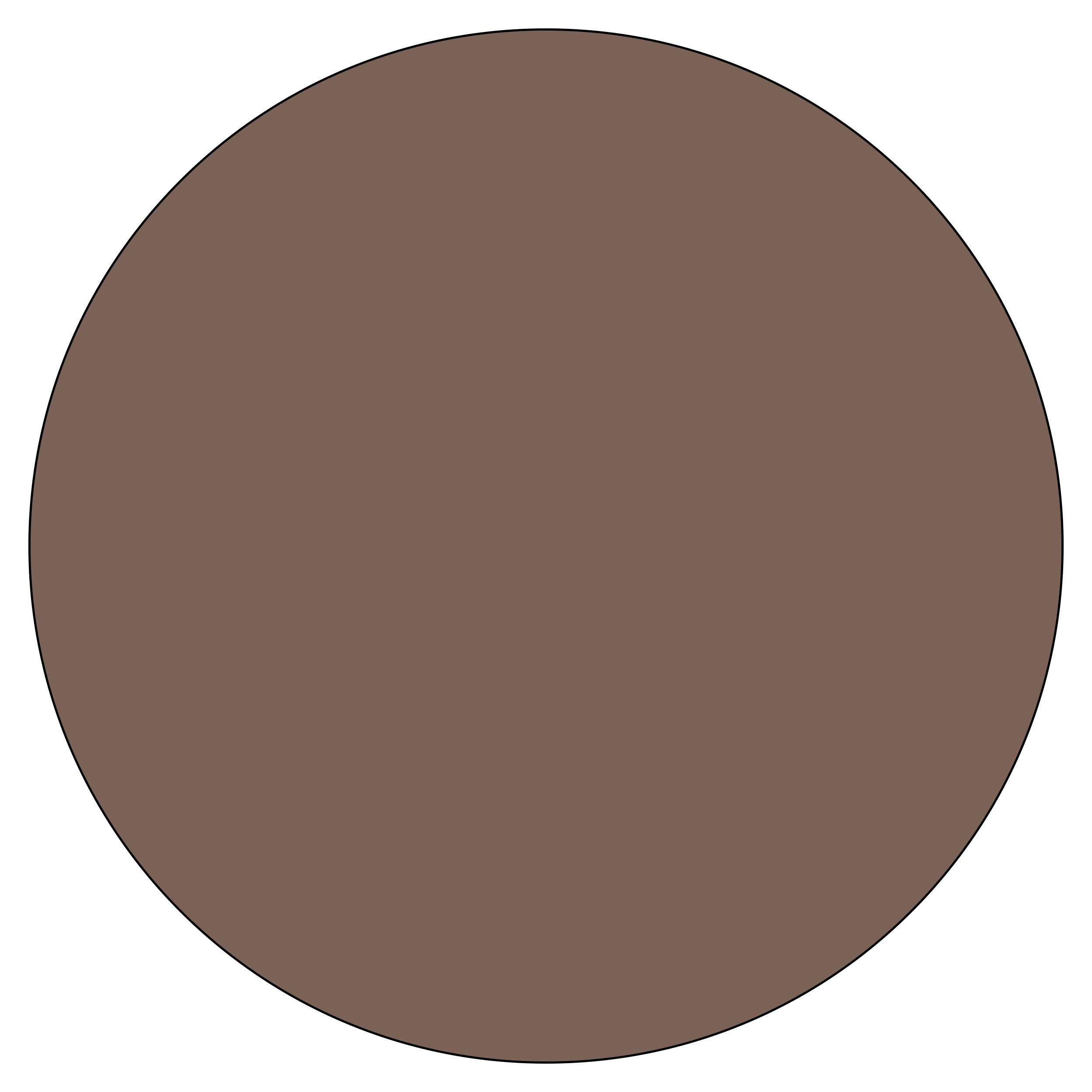 Classic Brown