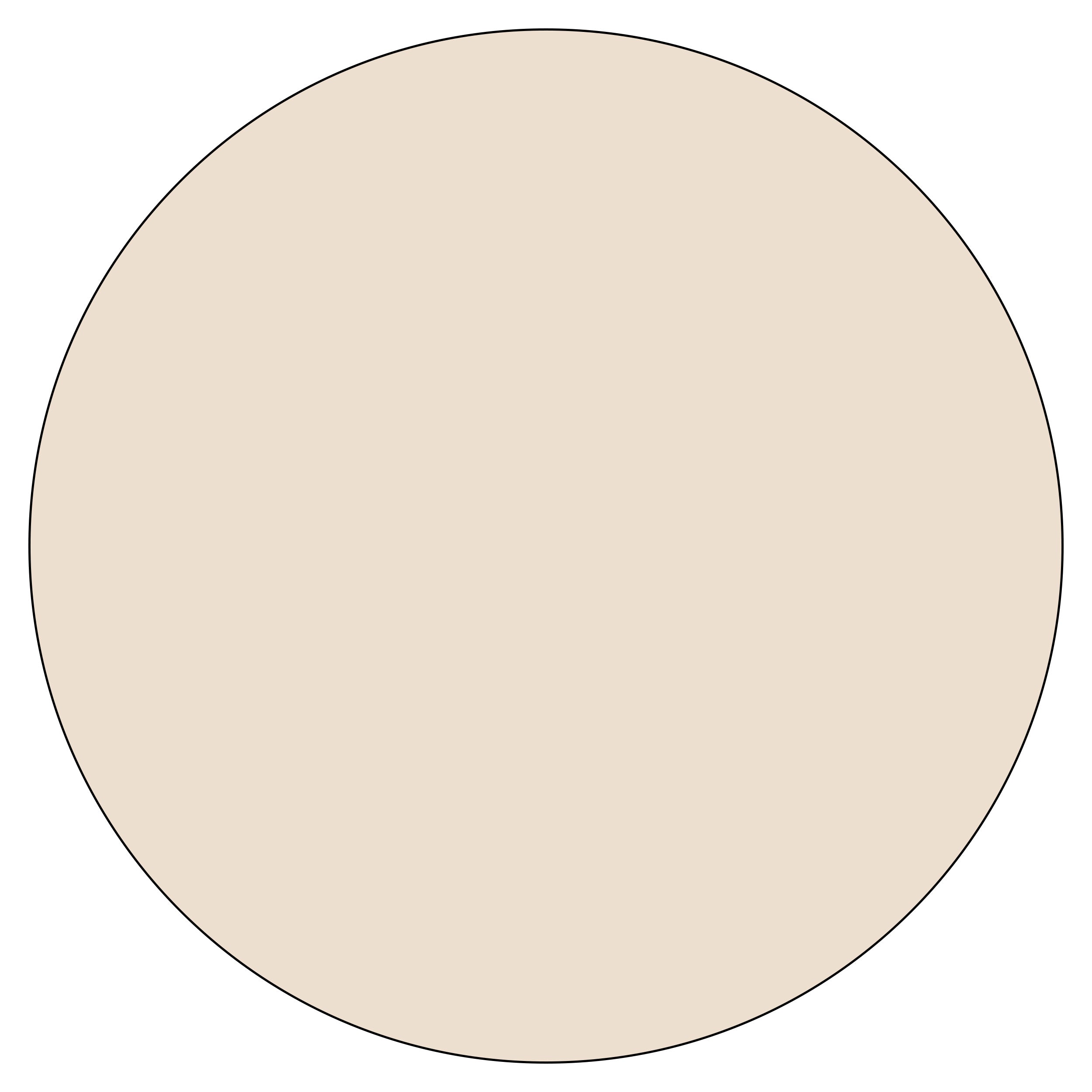 Light & Subtle
