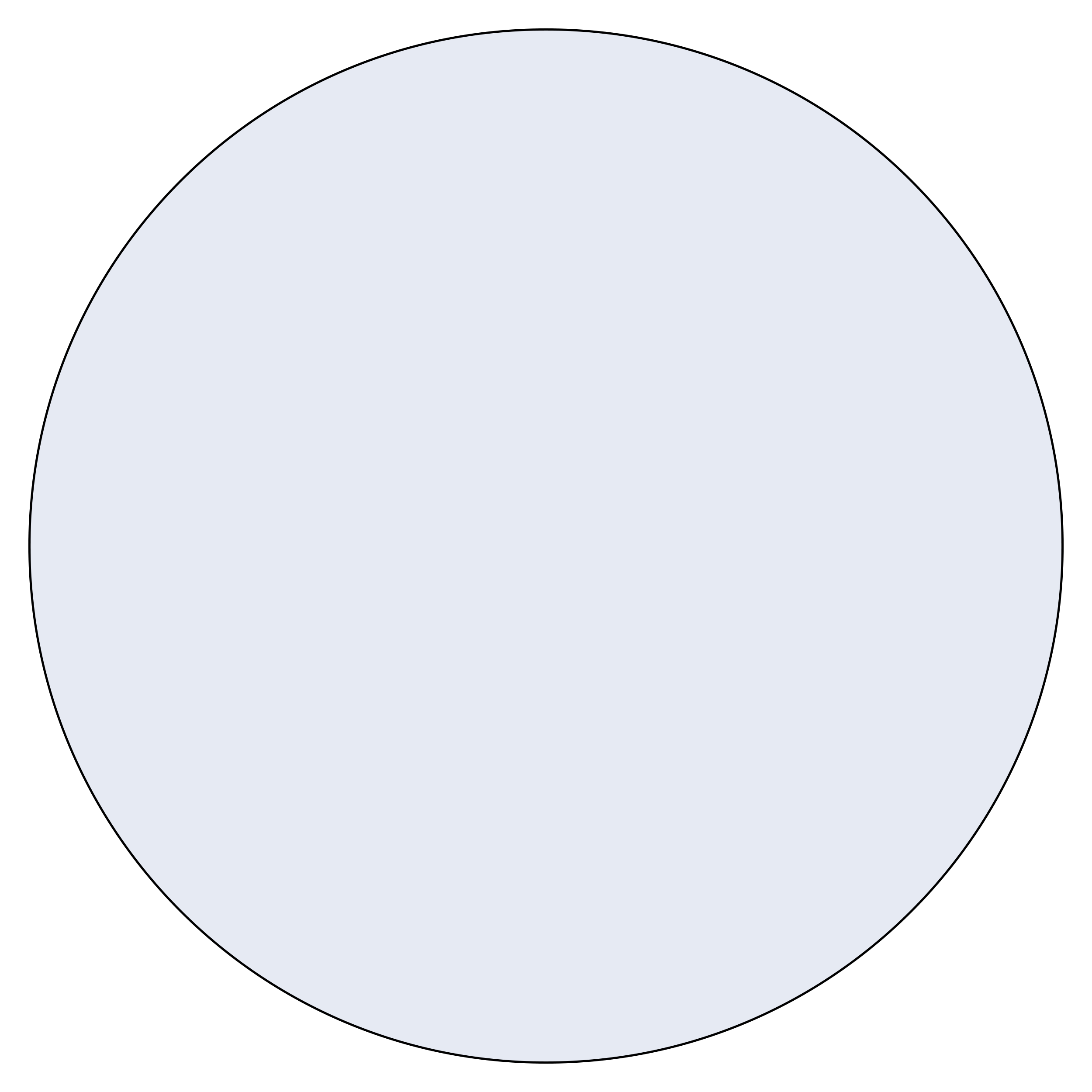 Light & Subtle