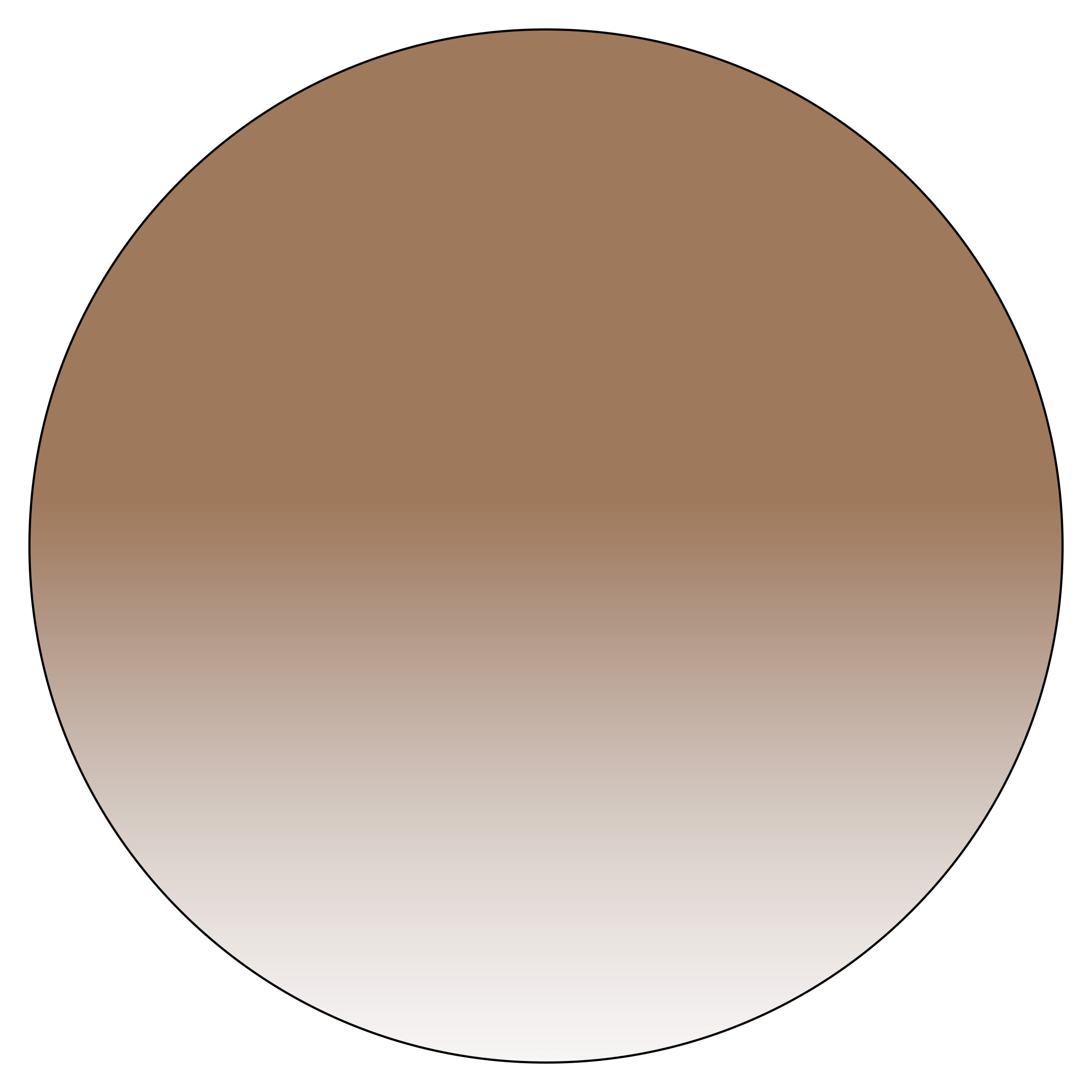 Classic Brown