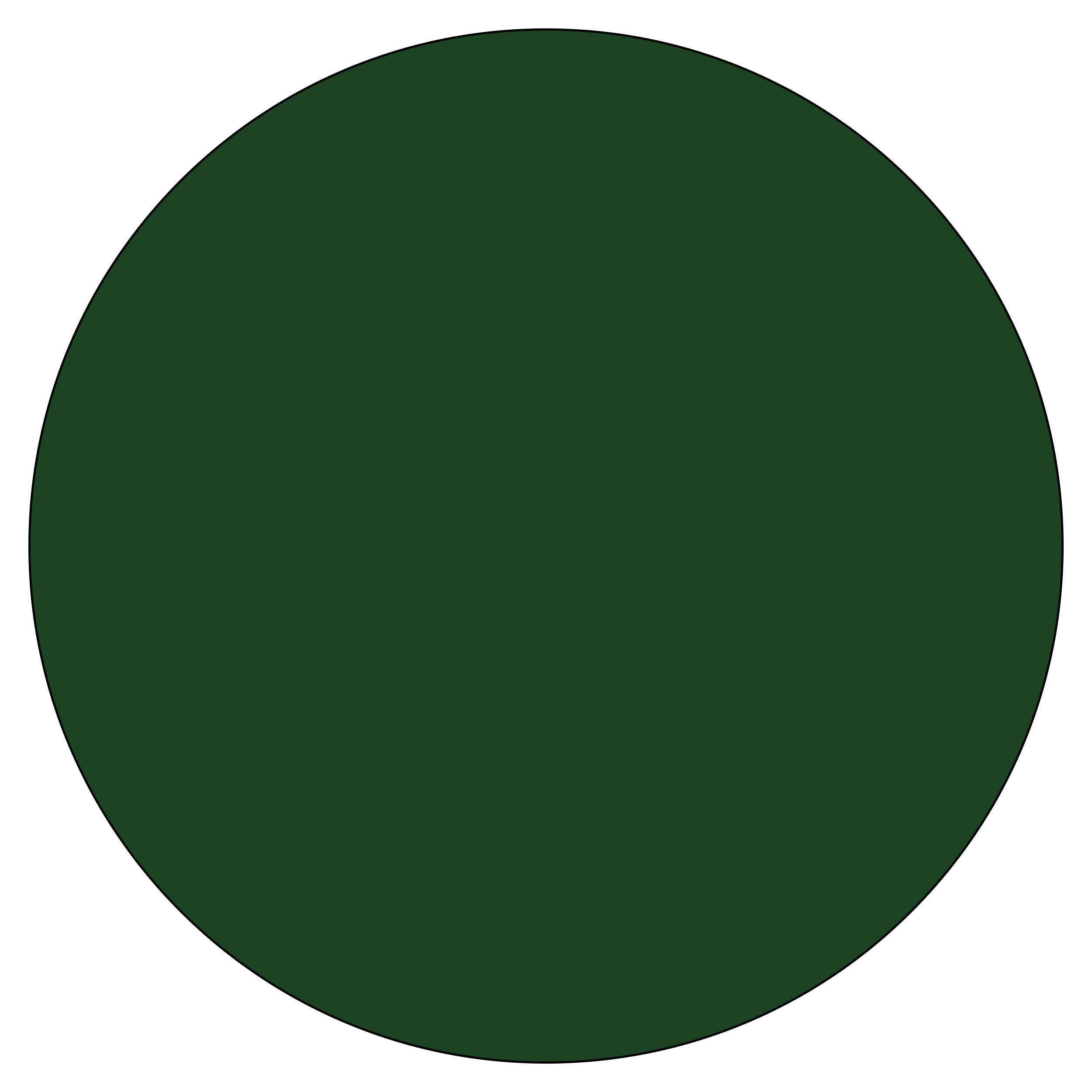 Special Lens Colour
