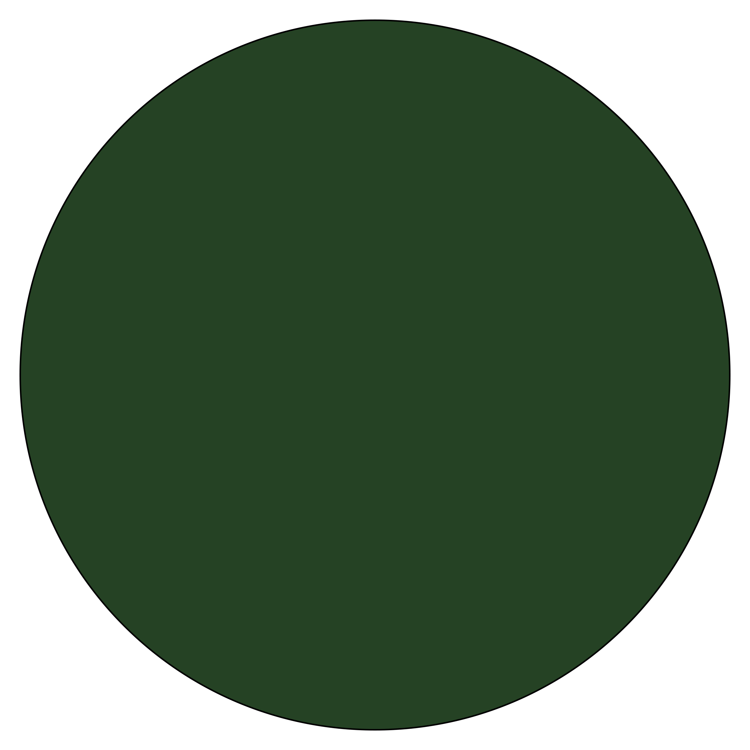 Special Lens Colour