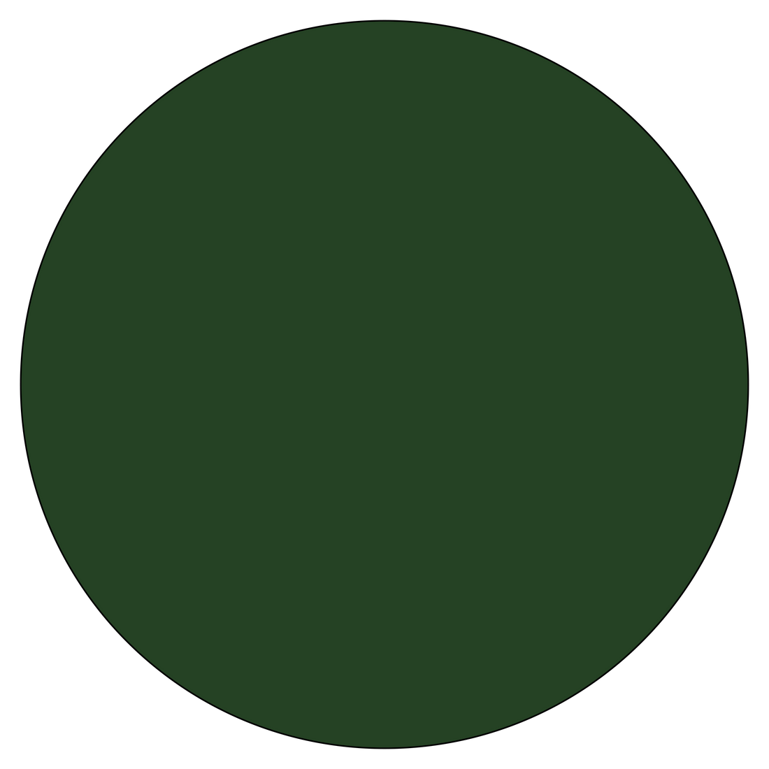 Special Lens Colour