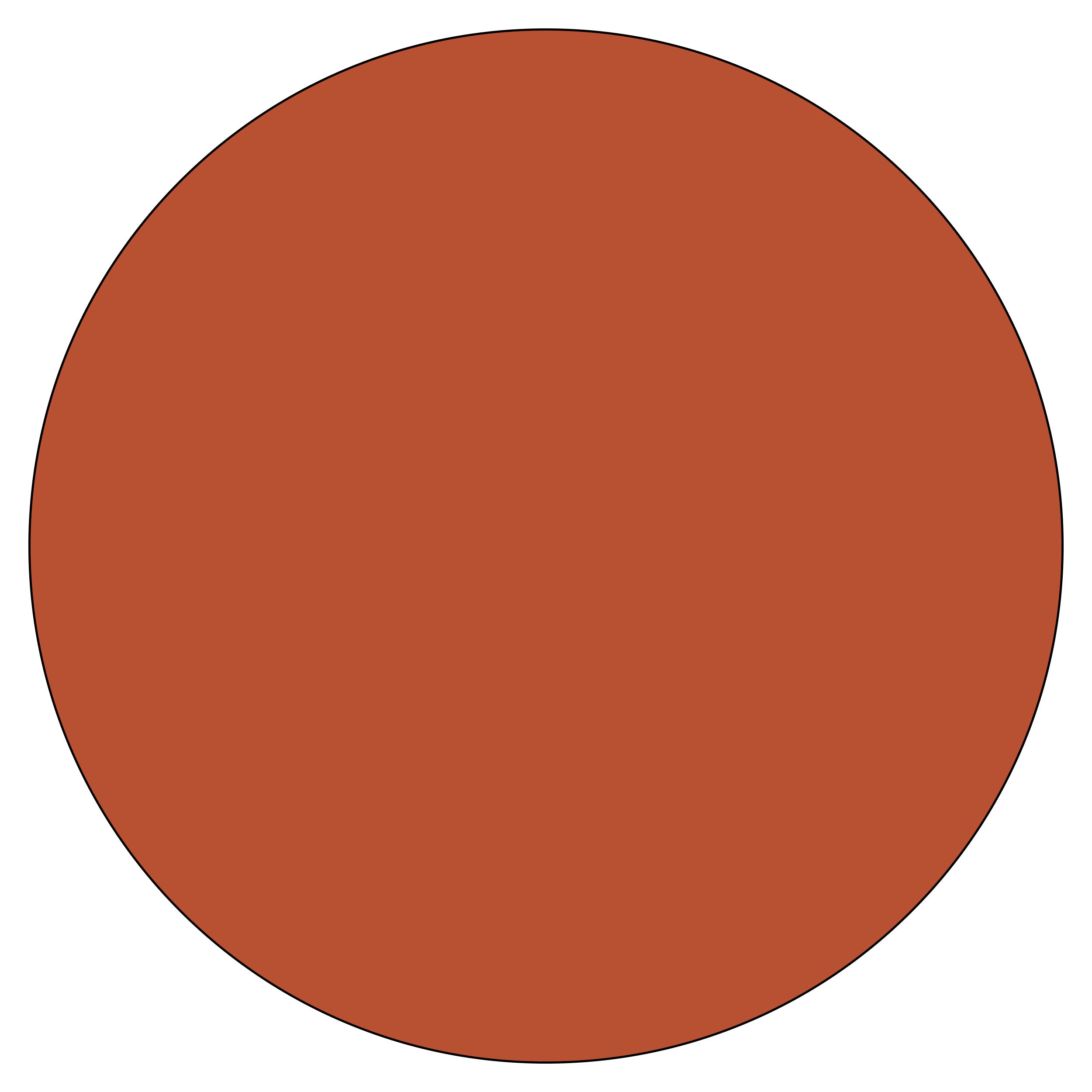 Special Lens Colour