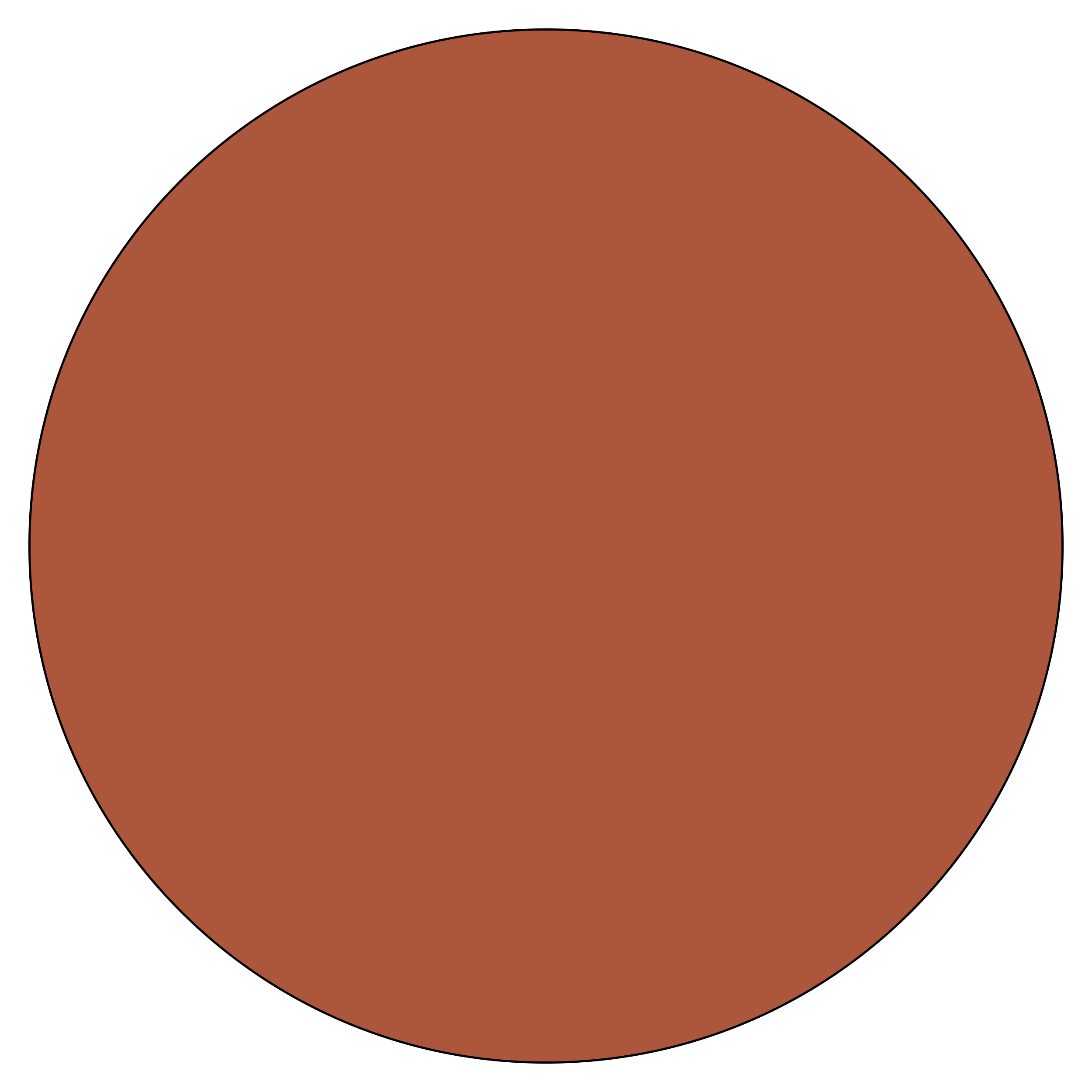 Special Lens Colour