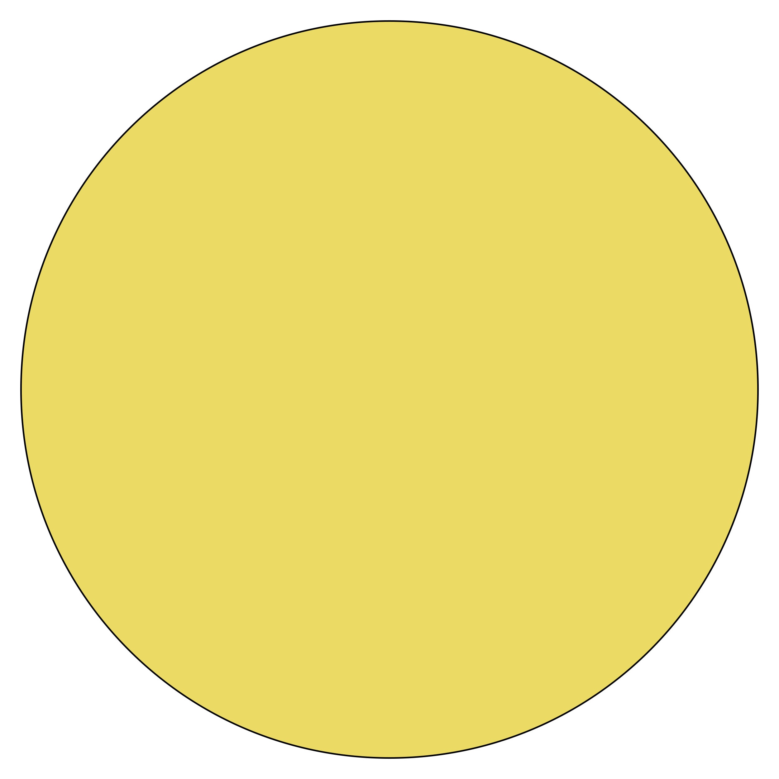Special Lens Colour
