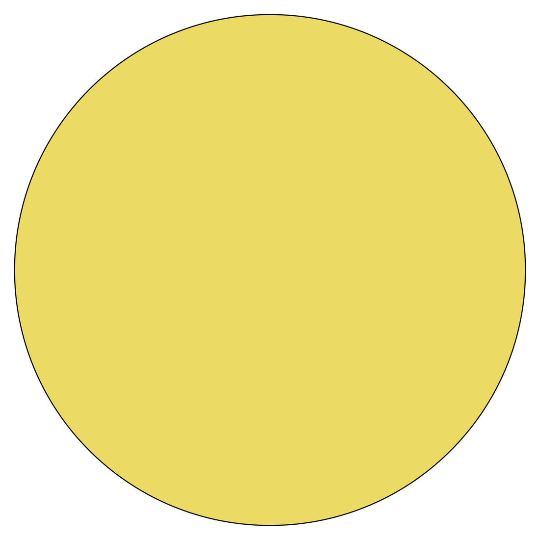 Special Lens Colour
