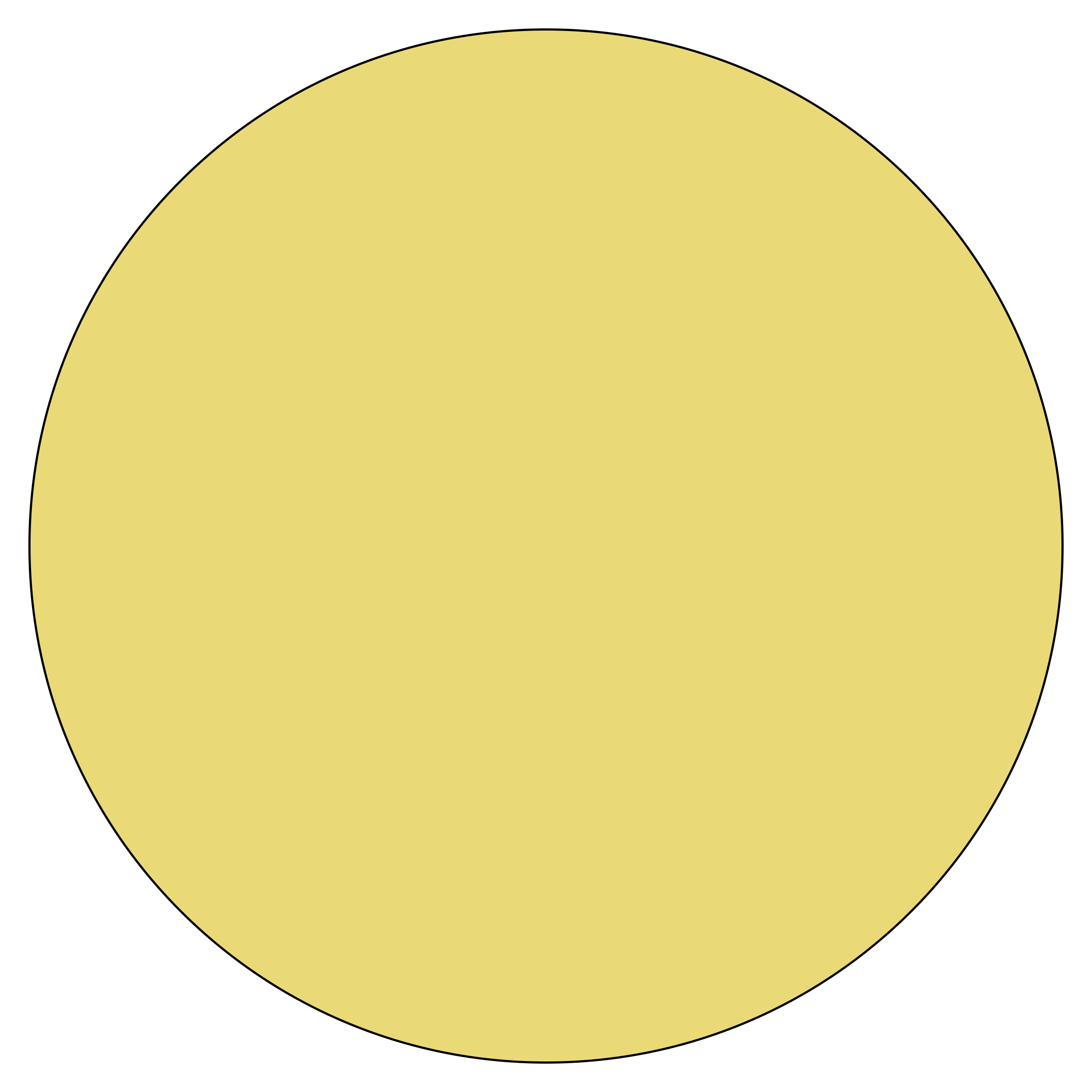 Special Lens Colour