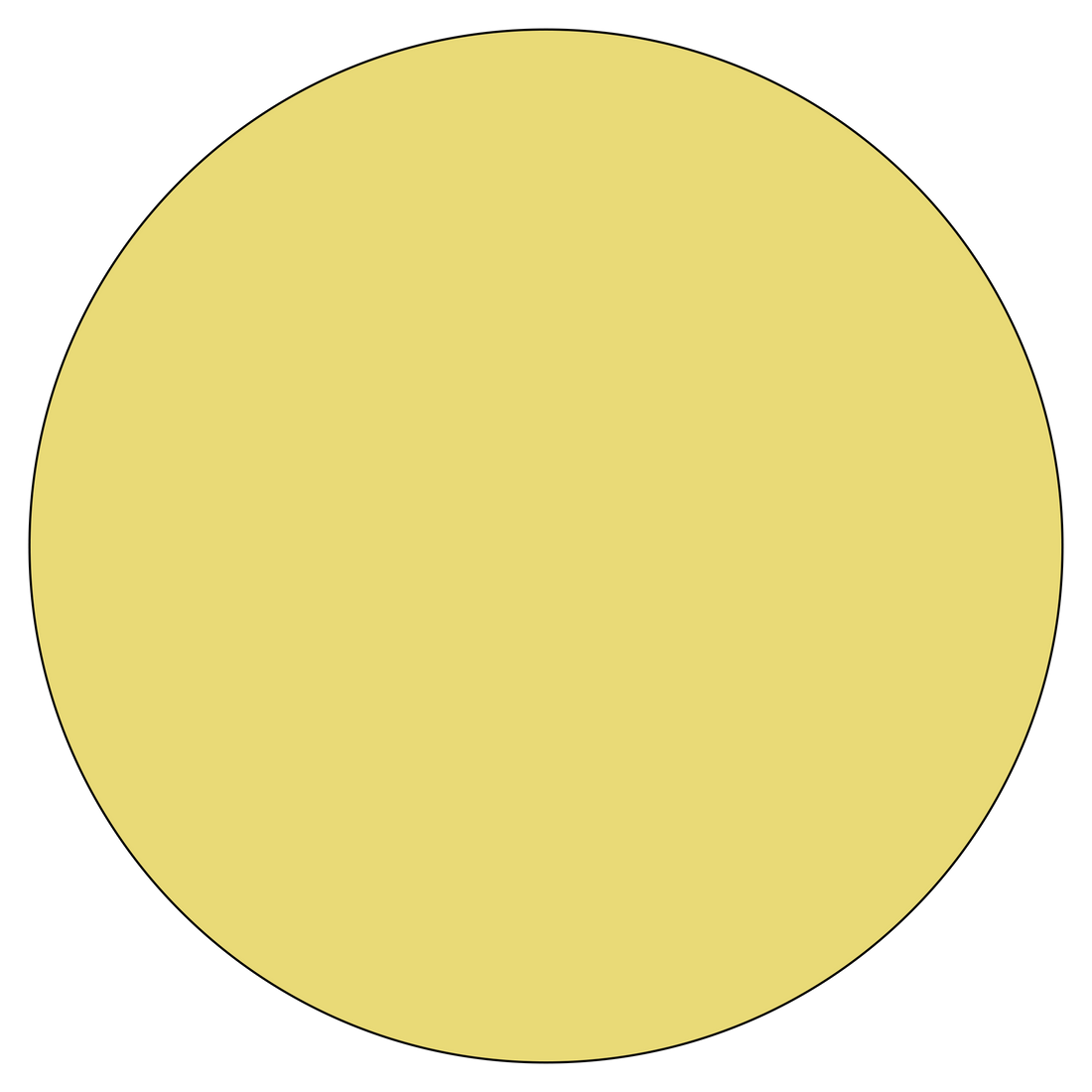 Special Lens Colour