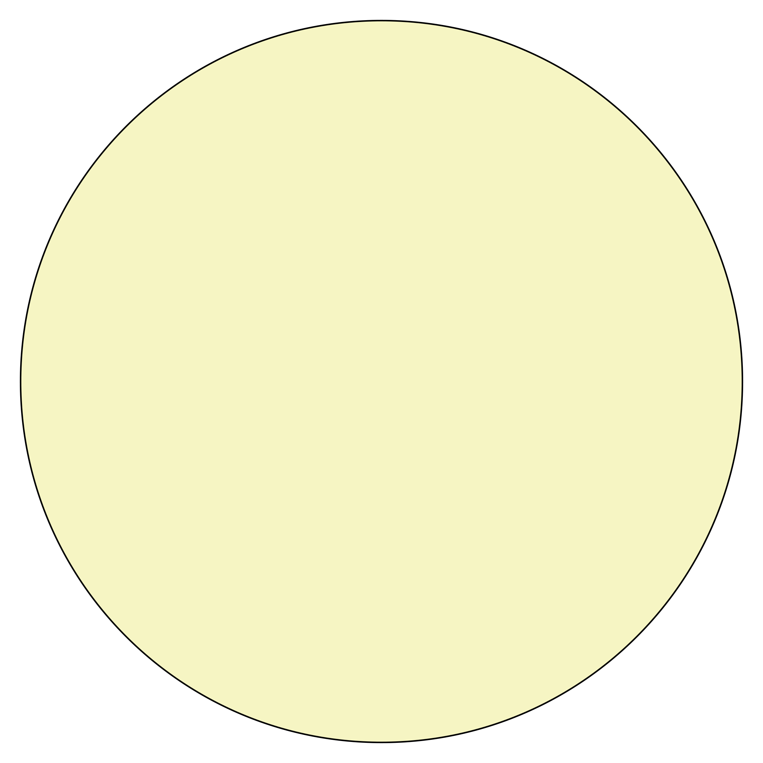 Light & Subtle